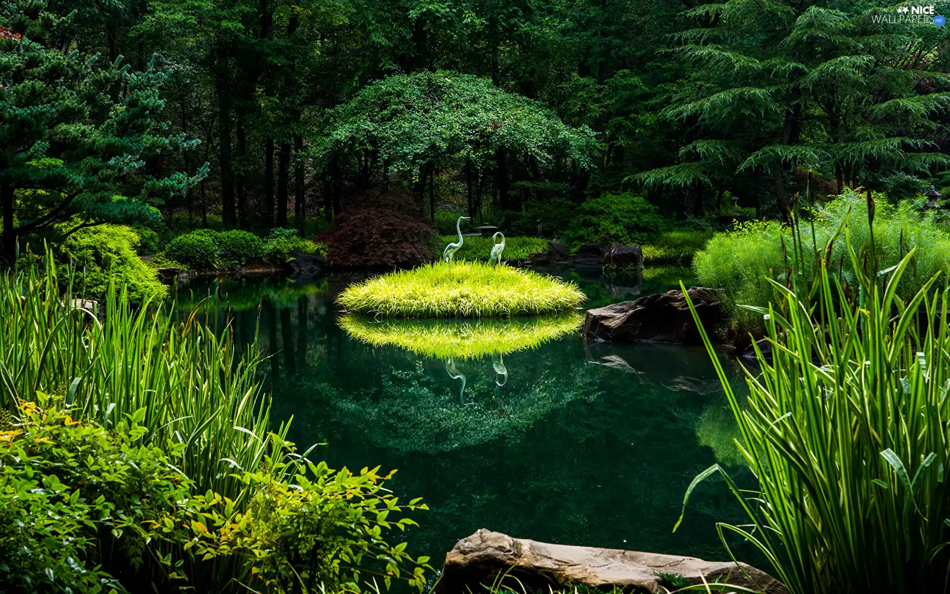 Sculpture, Park, grass, Plants, birds, Pond - car