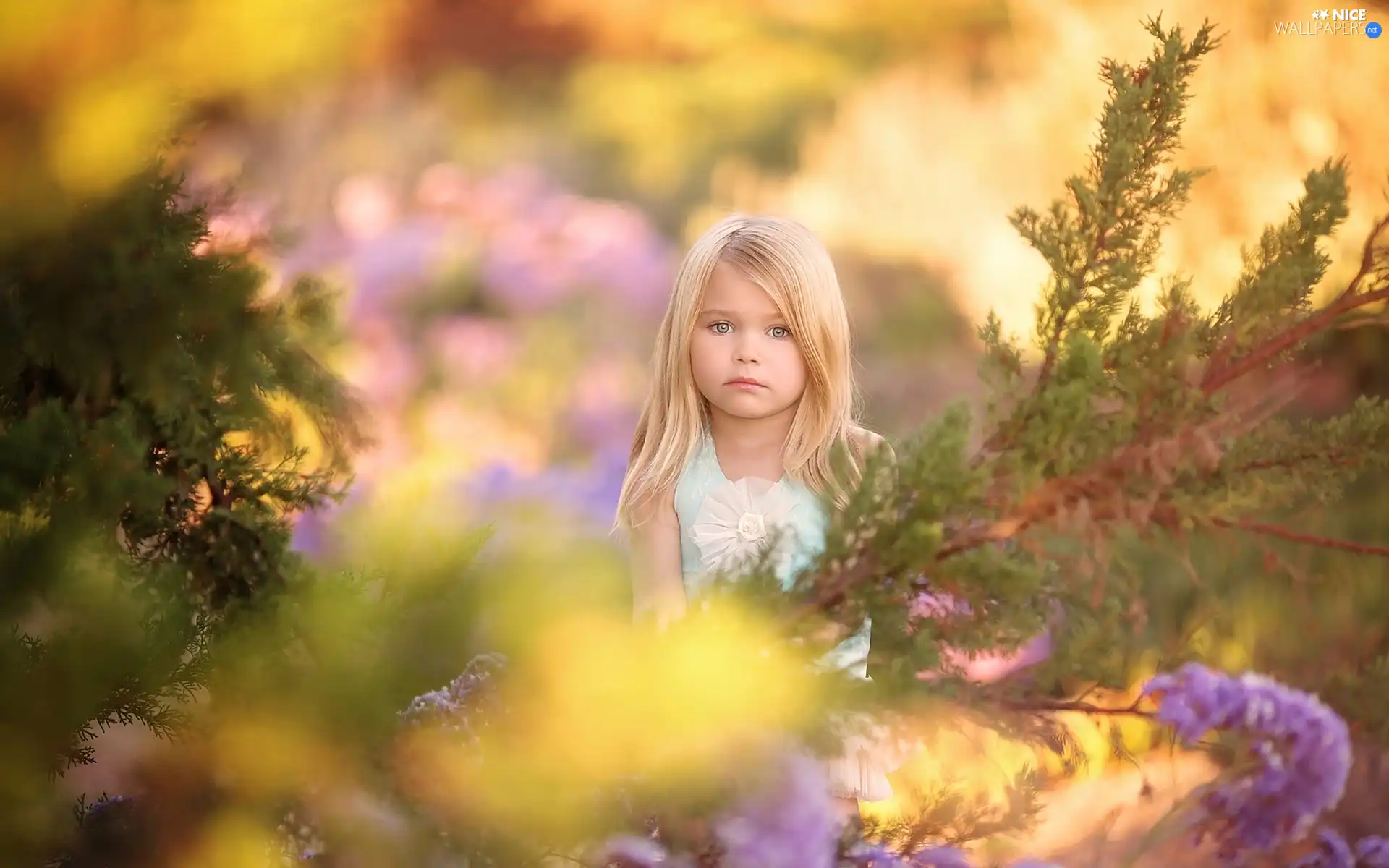 Kid, nature, Plants, girl