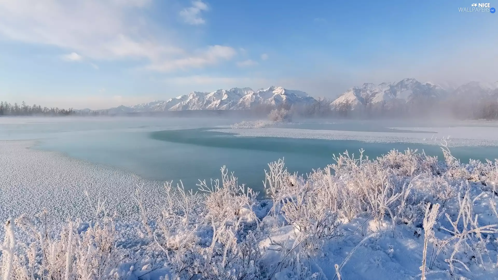 frosty, Plants, lake, Mountains, winter