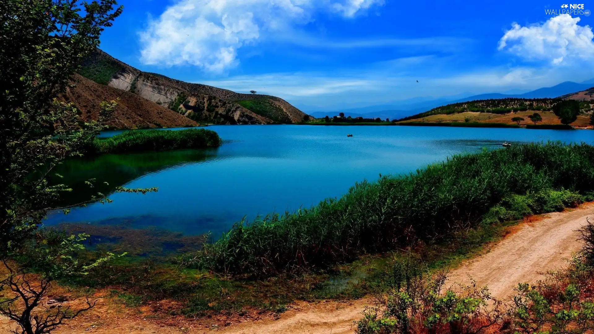 Mountains, coast, Plants, lake