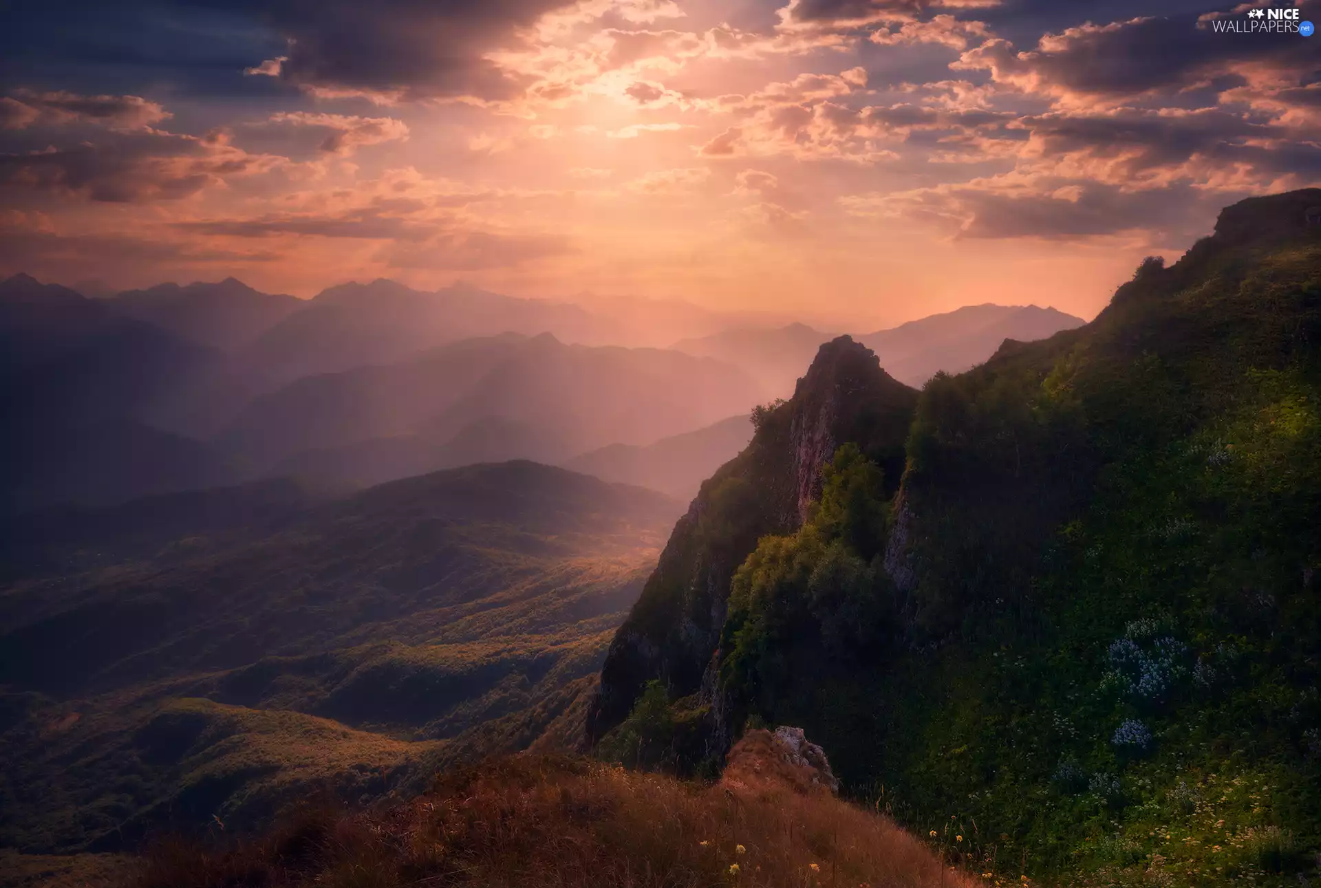 Fog, Sunrise, Flowers, Plants, clouds, Mountains
