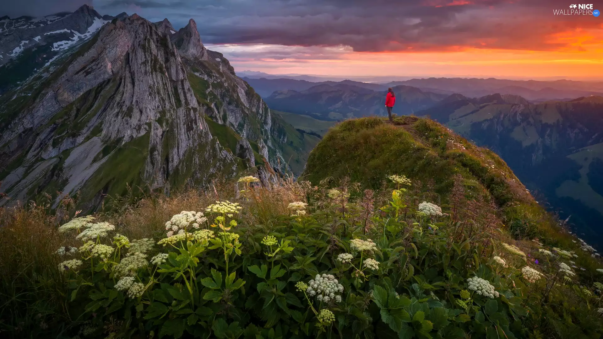Mountains, mount, Human, Plants