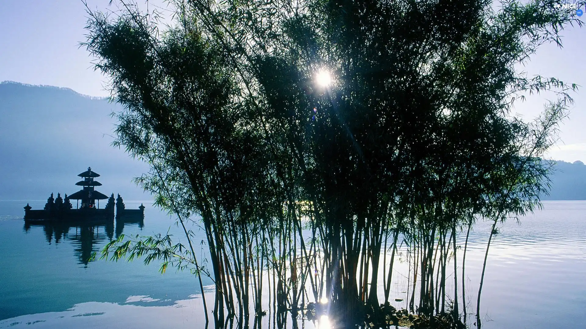 light breaking through sky, lake, Plants