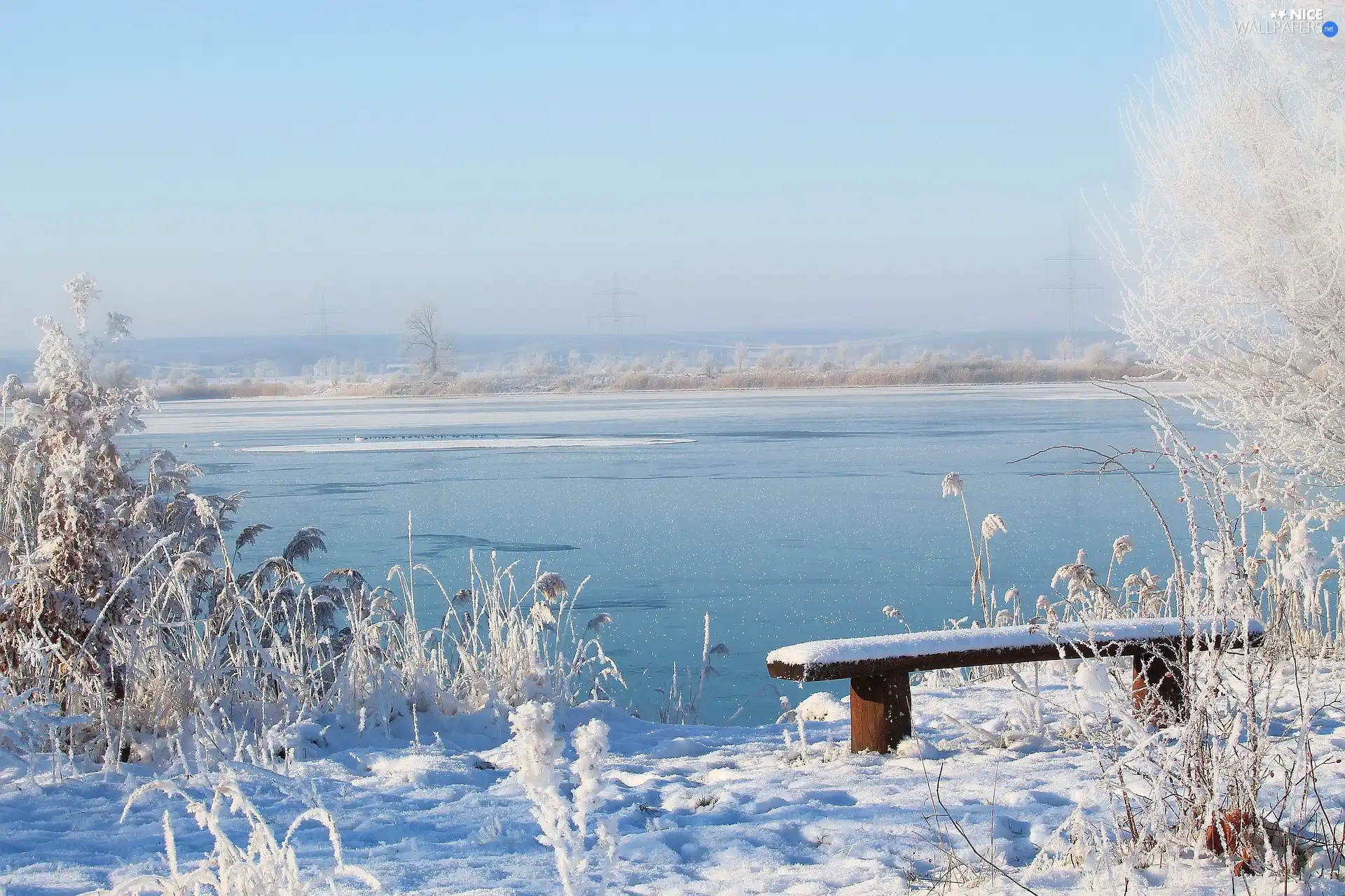 Bench, winter, frosty, Plants, lake, snow