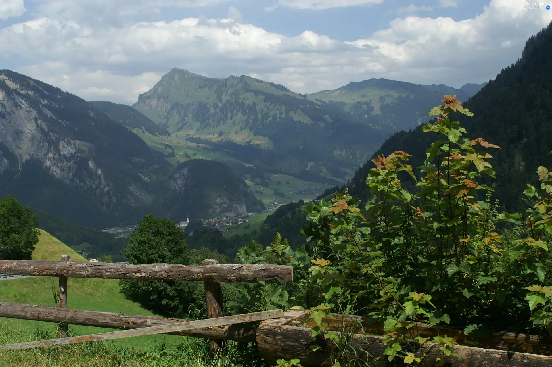 Au Vorarlberg, fence, Plants, Austria