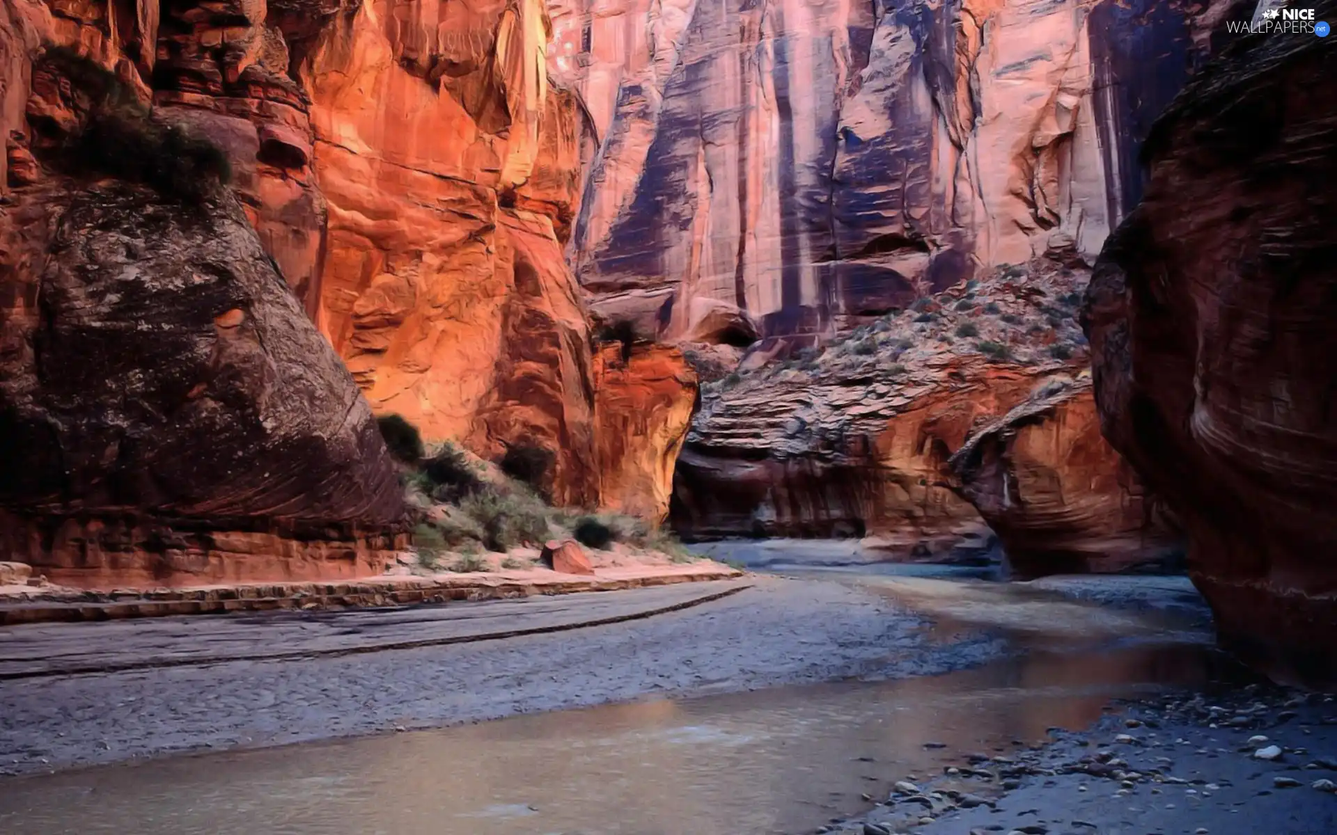 Plants, canyons, water