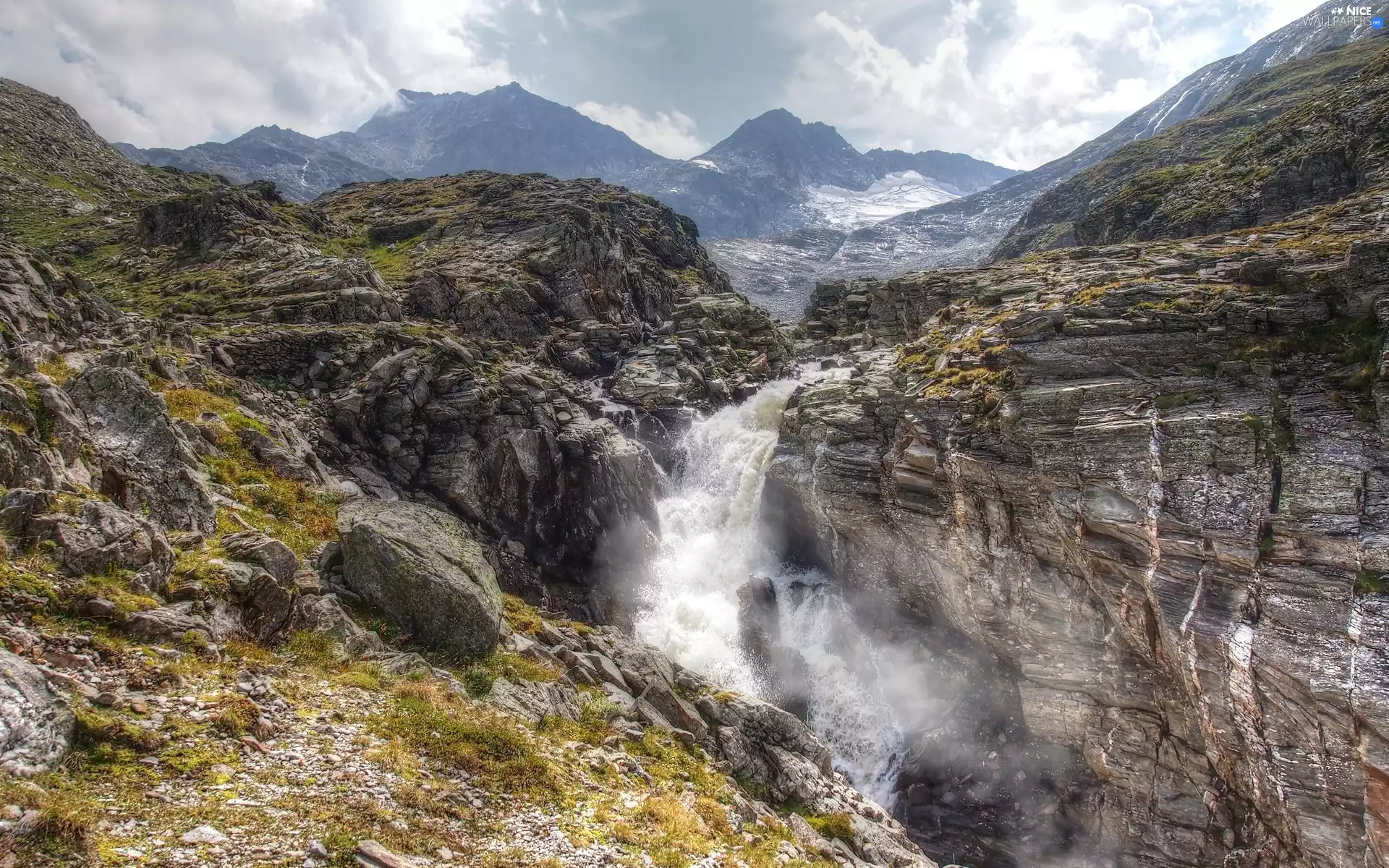 Plants, Mountains, waterfall