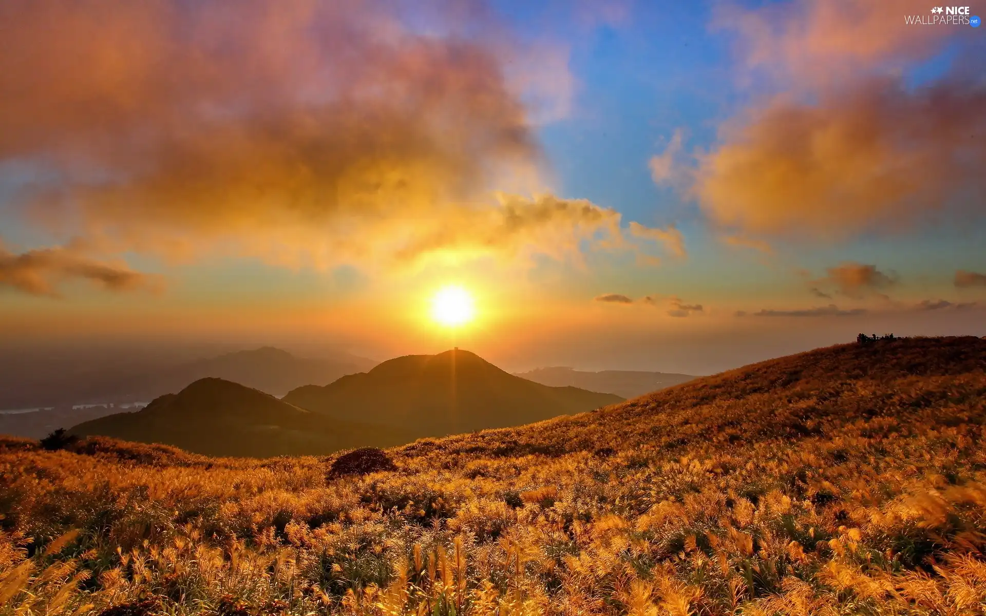 west, Mountains, Plants, sun