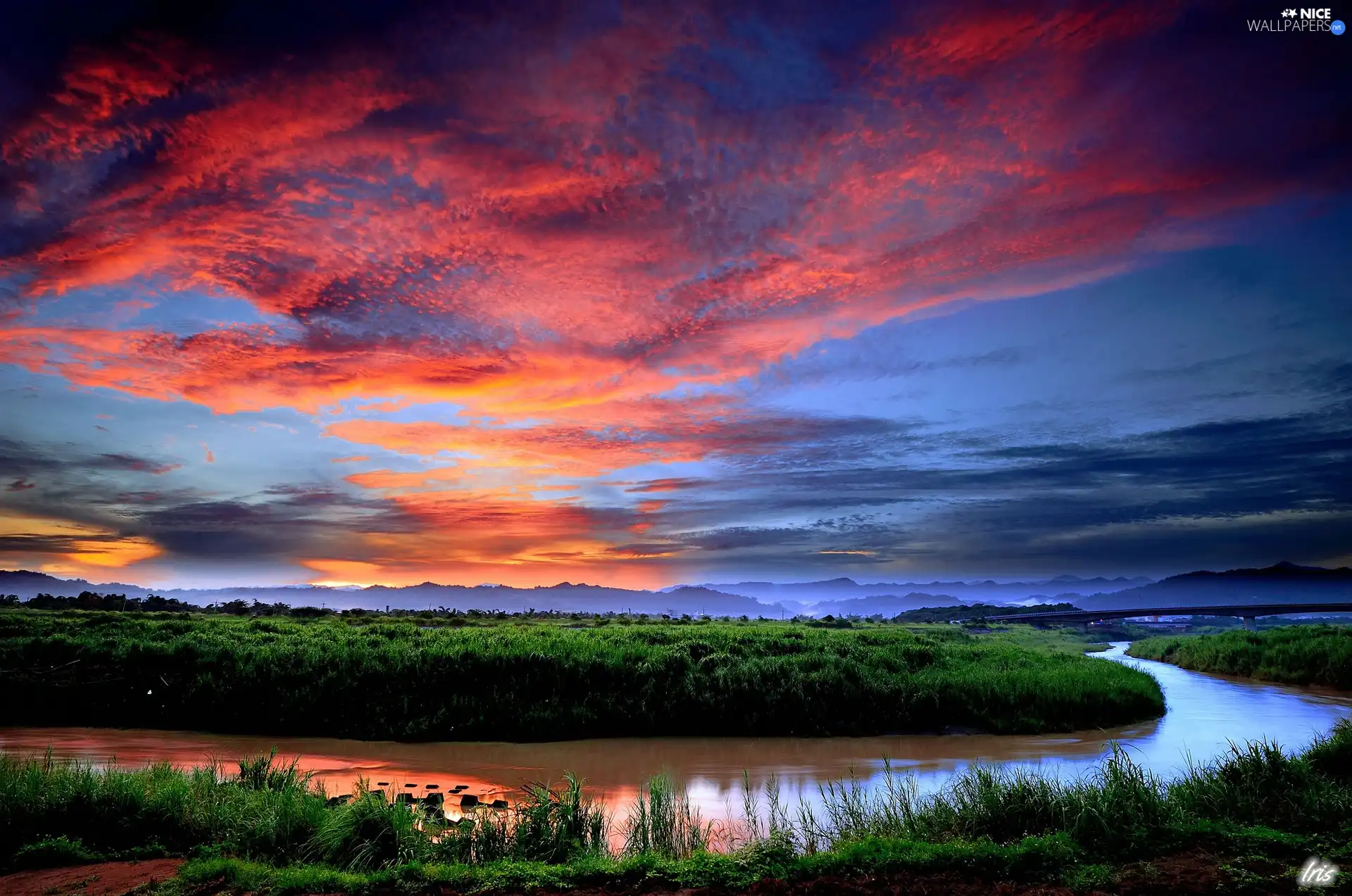 west, River, Plants, sun