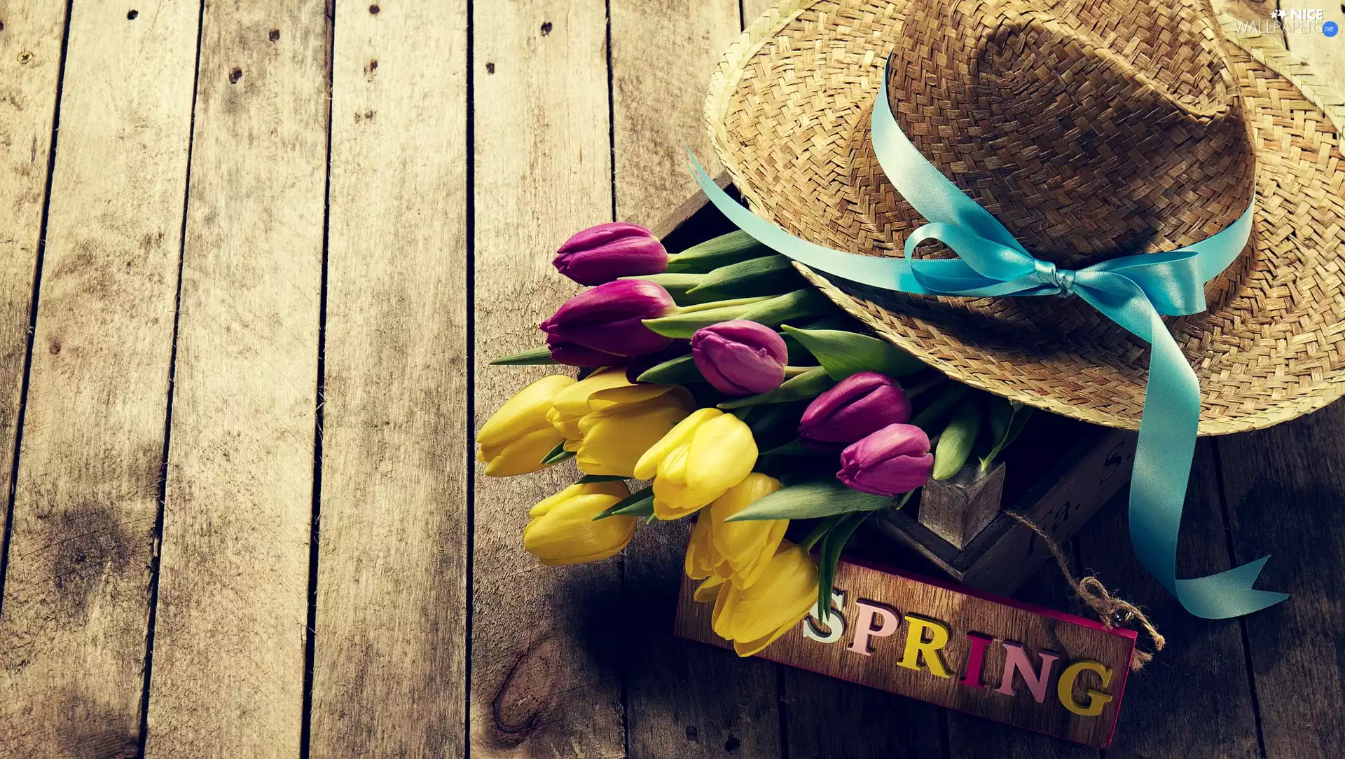 plate, Blue, bouquet, Spring, Tulips, Hat, ribbon, boarding, text, Wooden