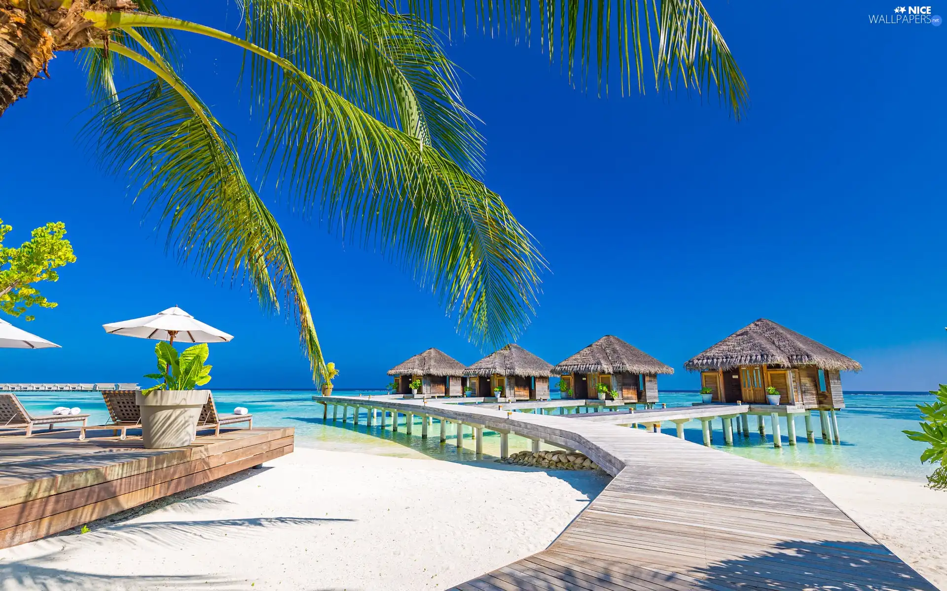 Beaches, sea, Houses, Indian Ocean, Maldives, Palm, Platform