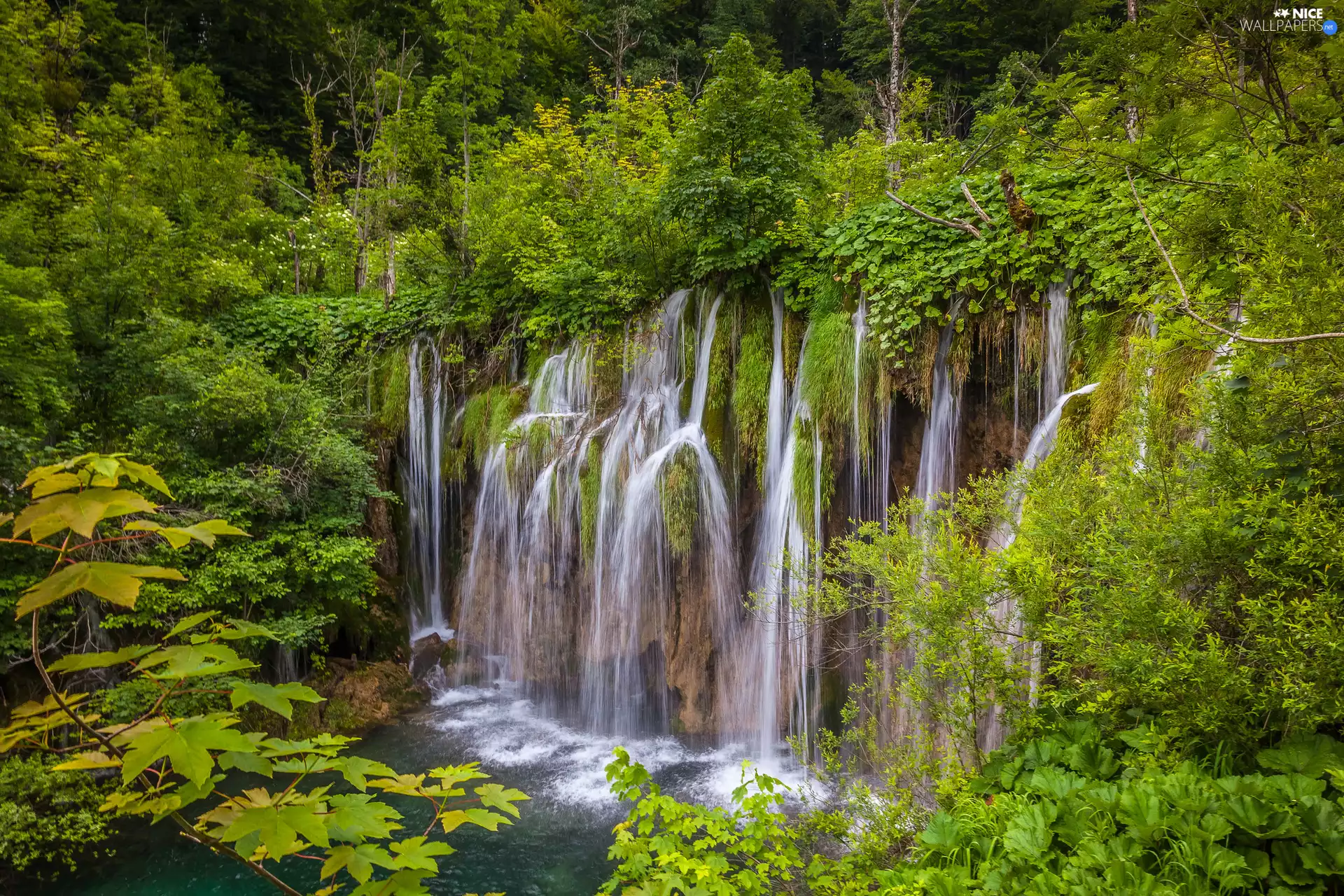 Plitvice Lakes National Park, Coartia, viewes, Plants, trees, waterfalls
