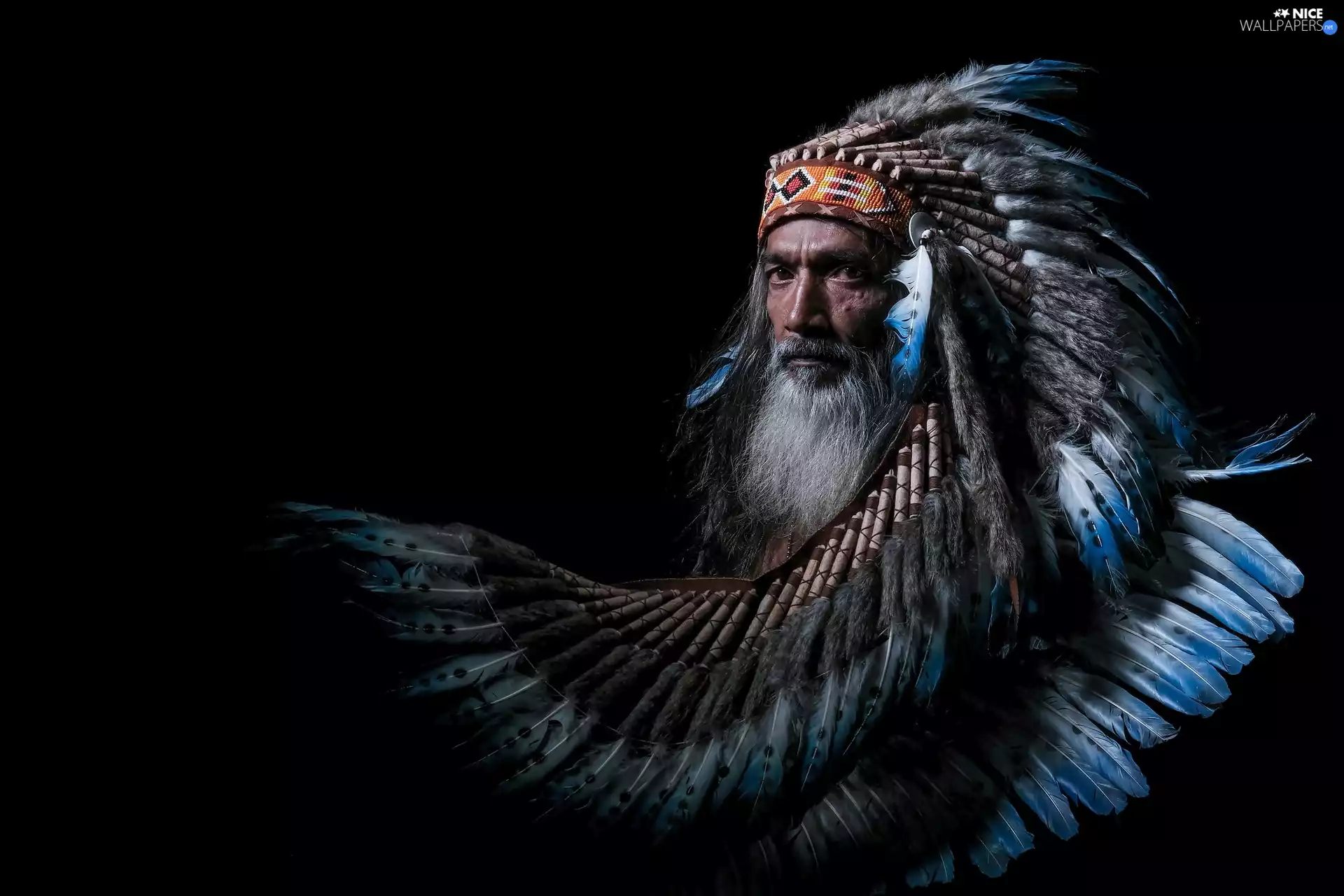 Indian, a man, plume