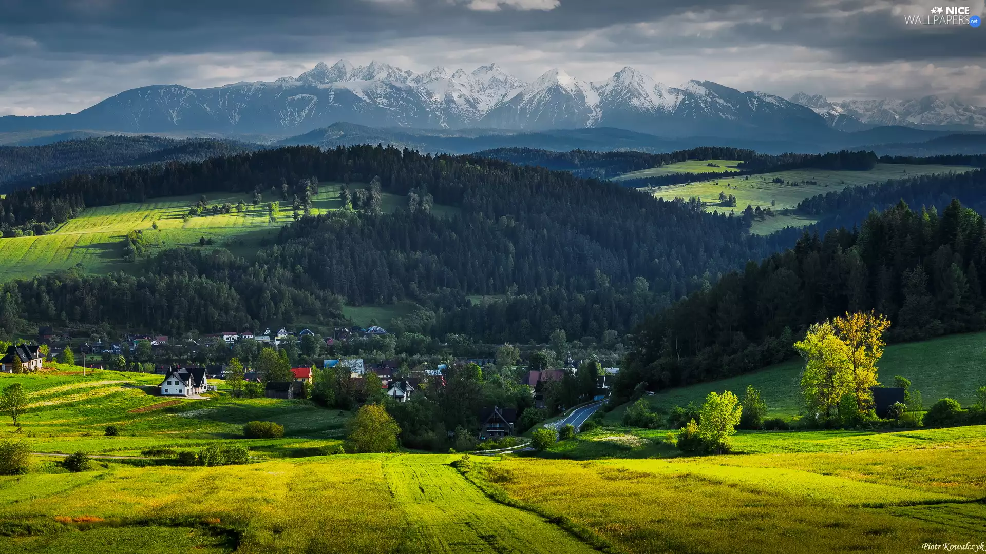 forested, Tatras, Houses, Pieniny, Mountains, The Hills, Poland