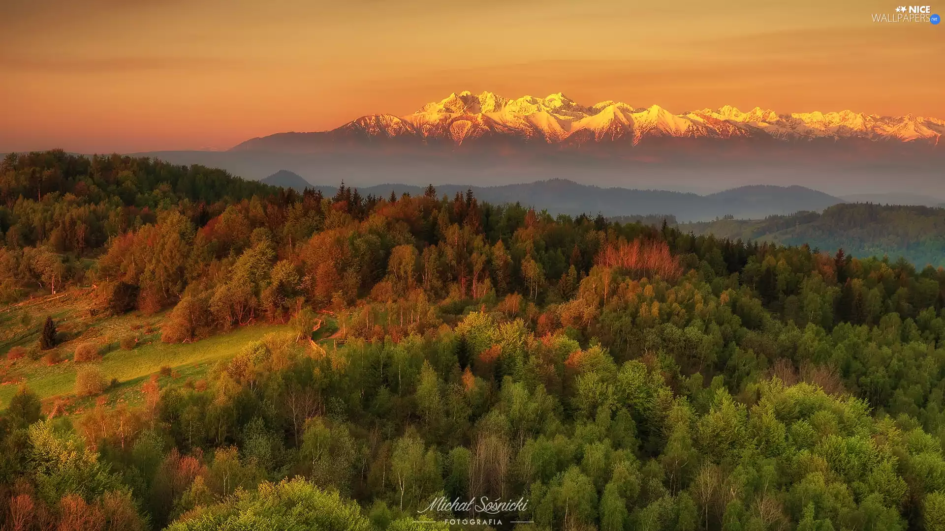 Sunrise, Poland, Mountains, Tatras, forest