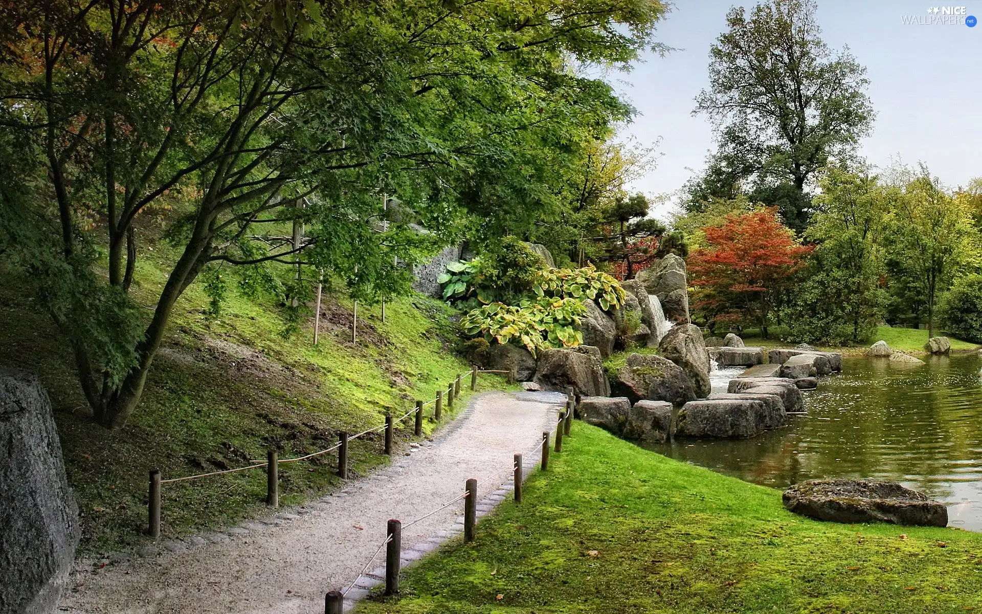 japanese, Path, Pond - car, Garden