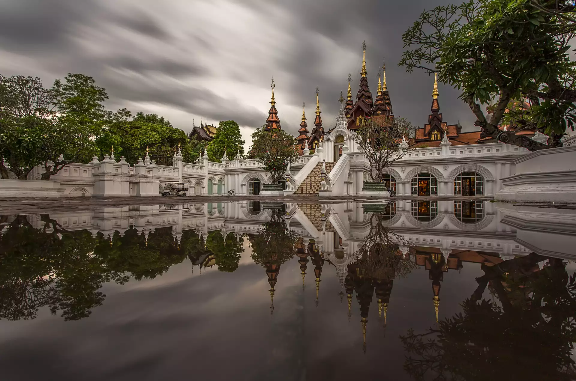 Nick Kyrgios, Thailand, Pond - car, reflection, palace