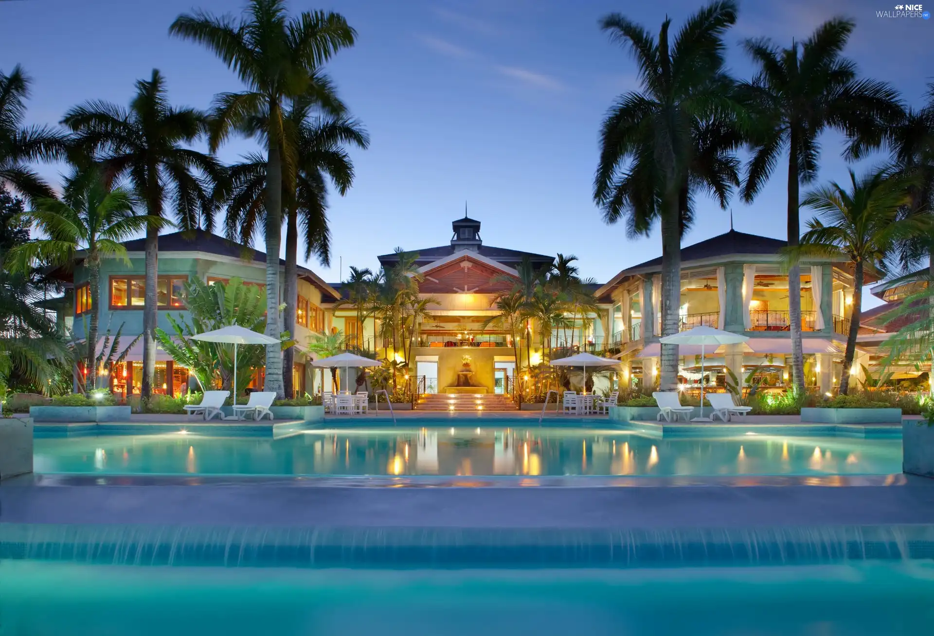 Palms, Hotel hall, Pool