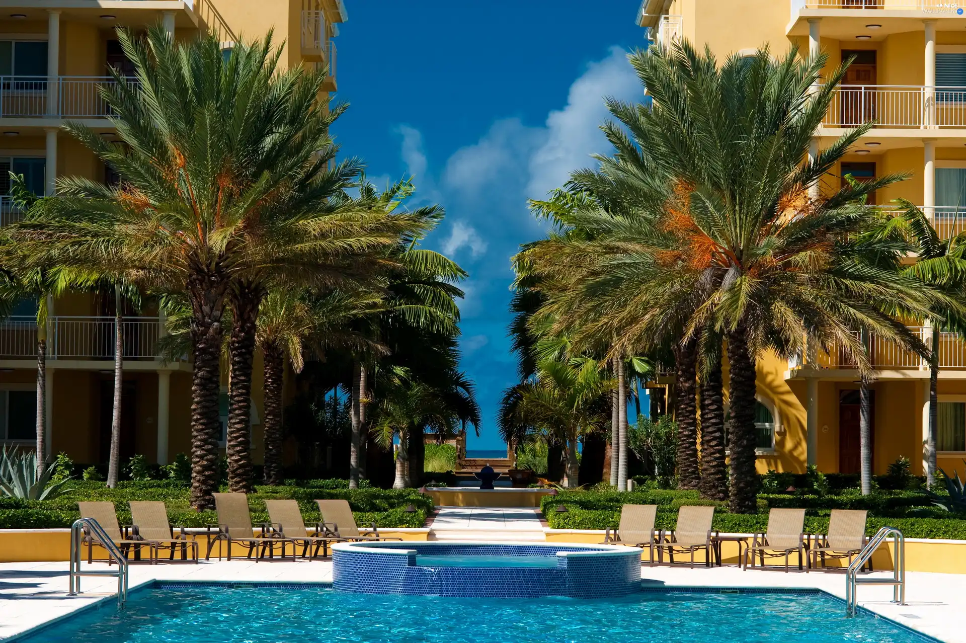 Palms, Hotel hall, Pool