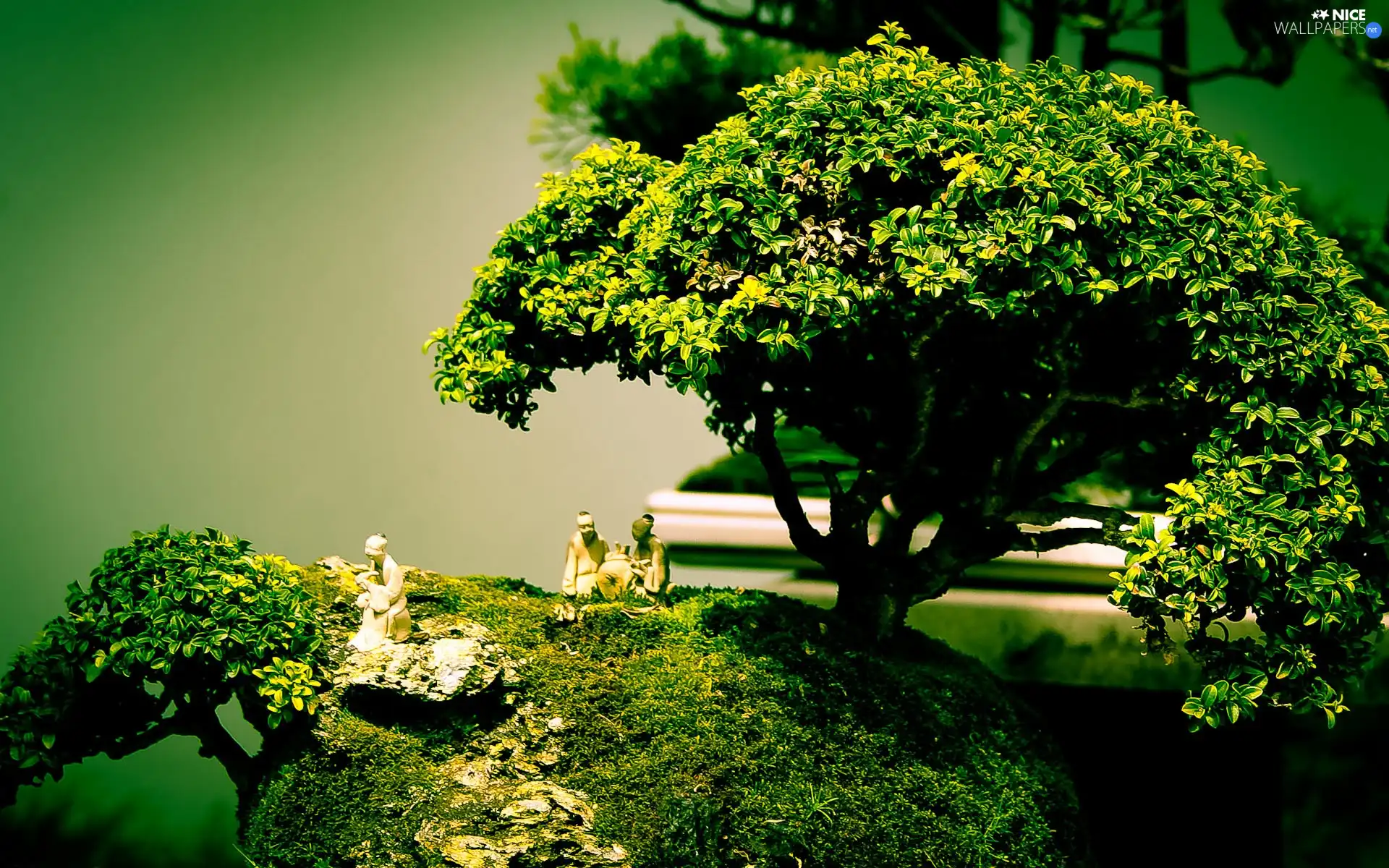 Sapling, figures, porcelain, Bonsai