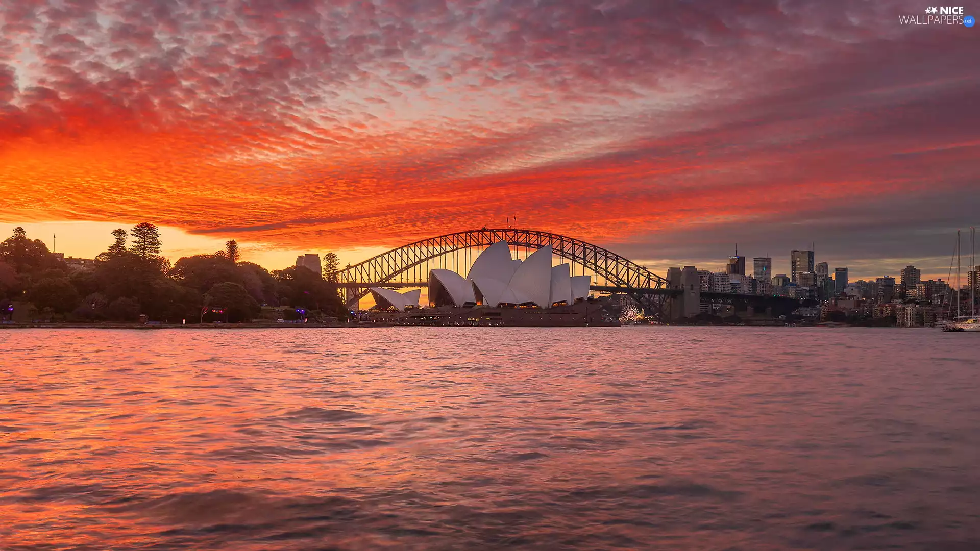 Sydney Opera House, Sunrise, Sydney, Australia, Sydney Harbor Bridge, Port Jackson Bay