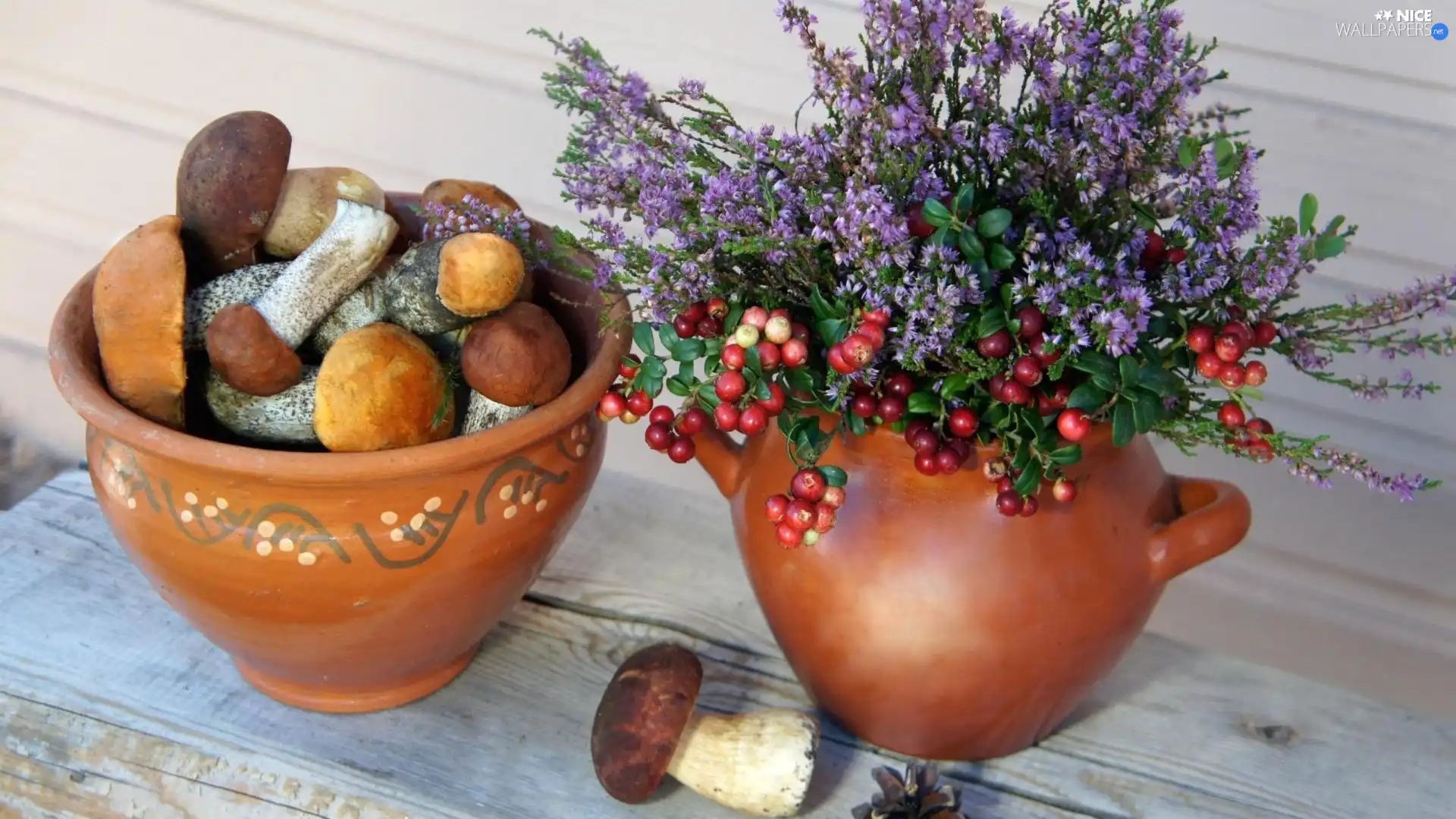 pots, mushrooms, Flowers