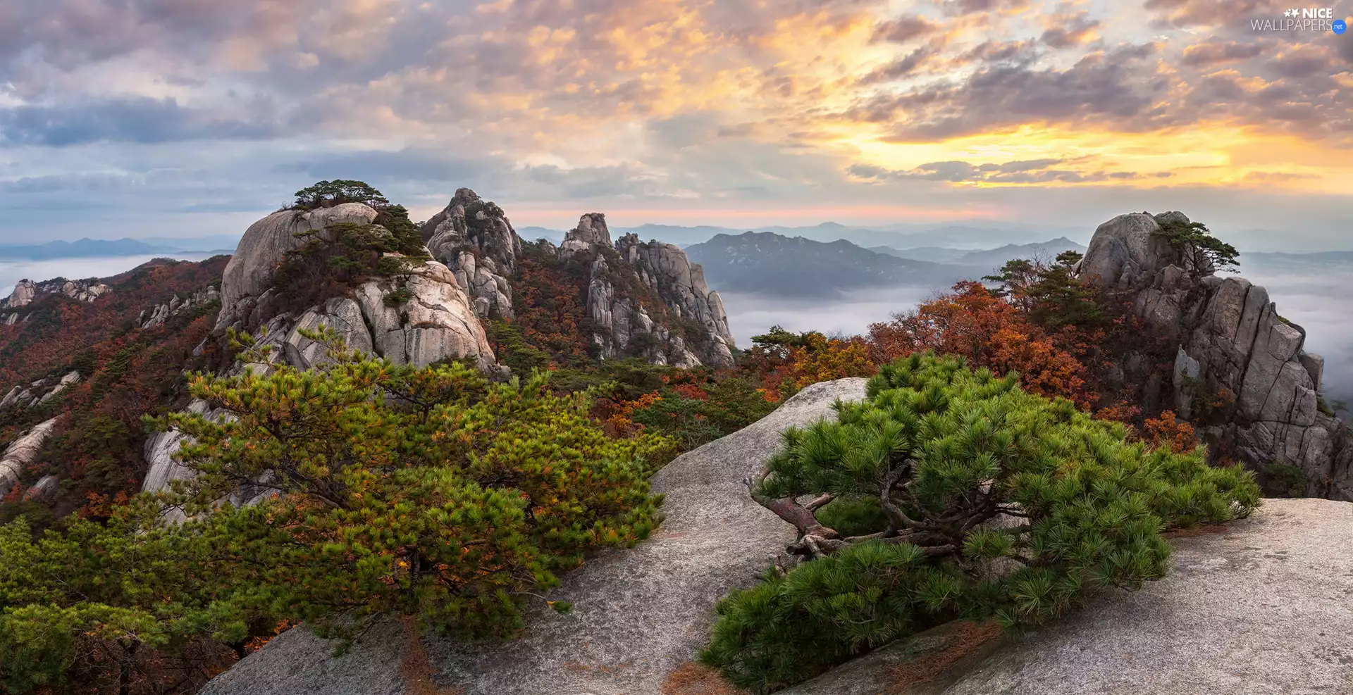 Mountain Dobongsan, trees, clouds, Gyeonggi-do Province, rocks, Mountains, viewes, South Korea, Bukhansan National Park, Sunrise