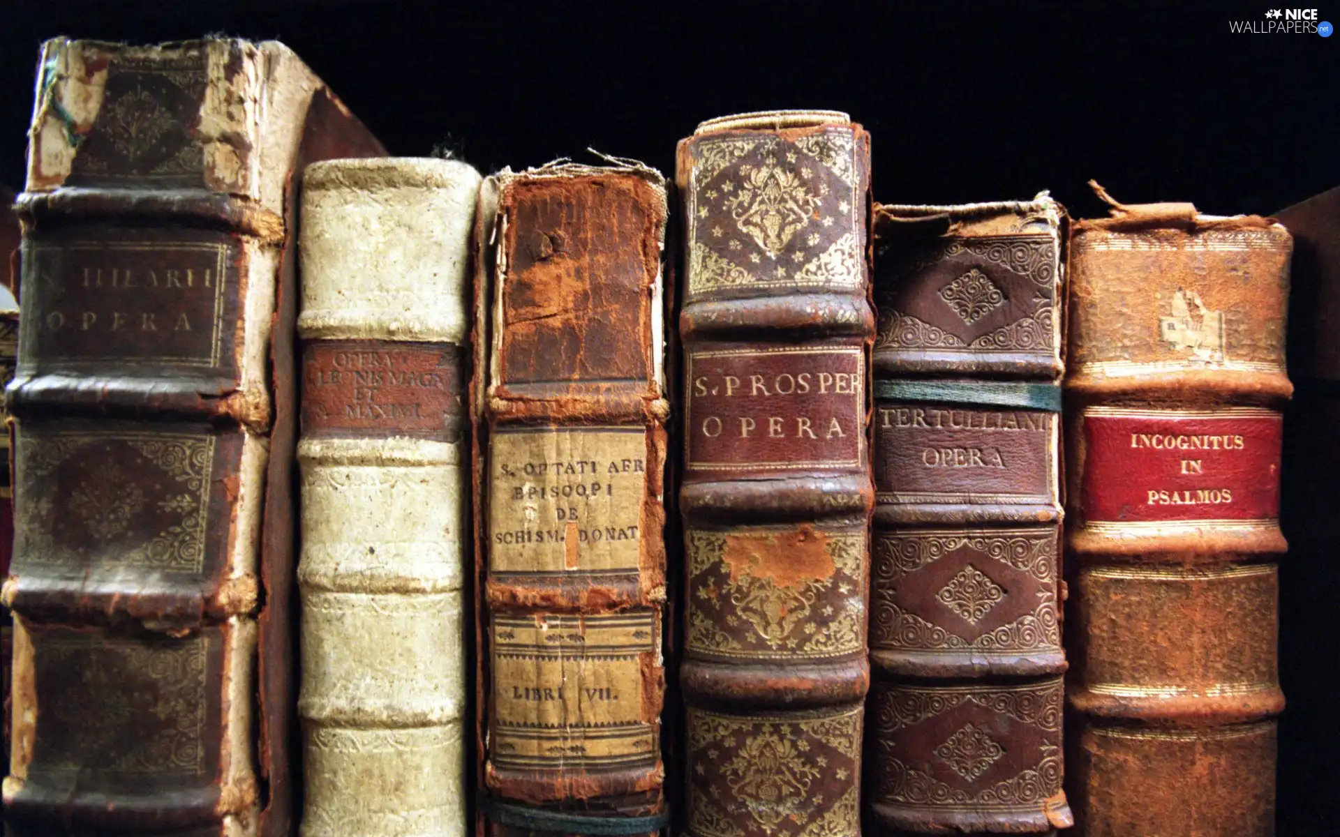 old, psalterium