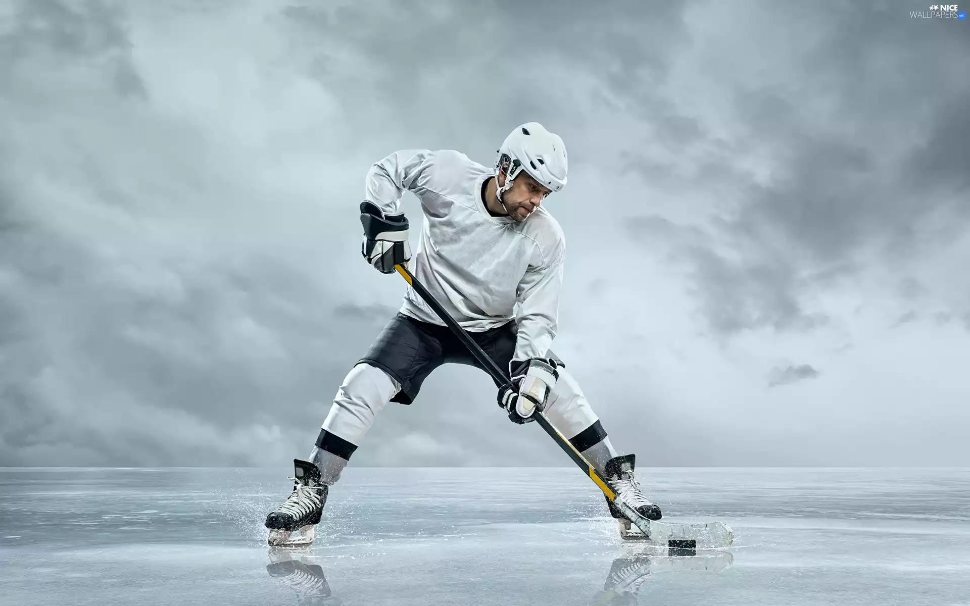 hockey, Stick, Hockey Puck, Hockey Player