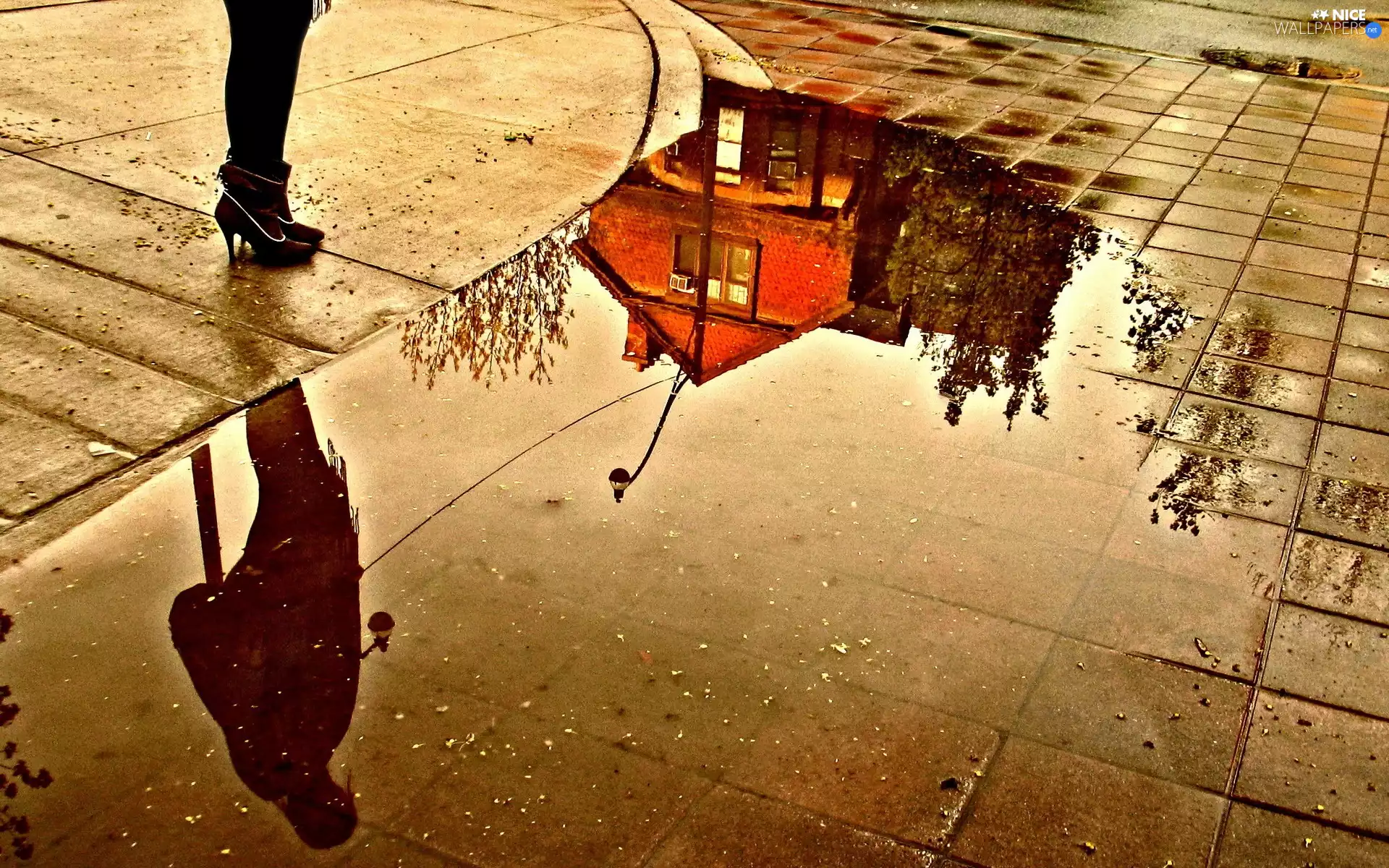 puddle, reflection, Womens