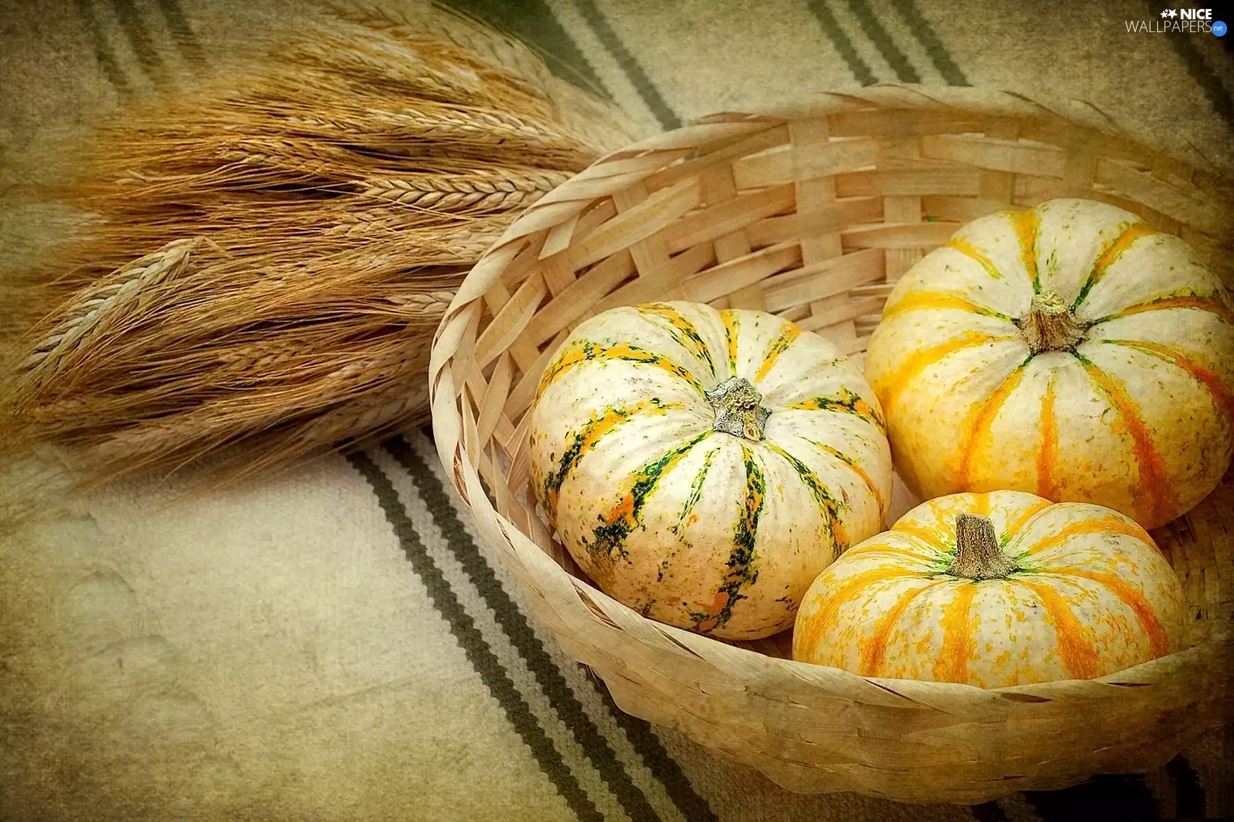 basket, Ears, cereals, pumpkin
