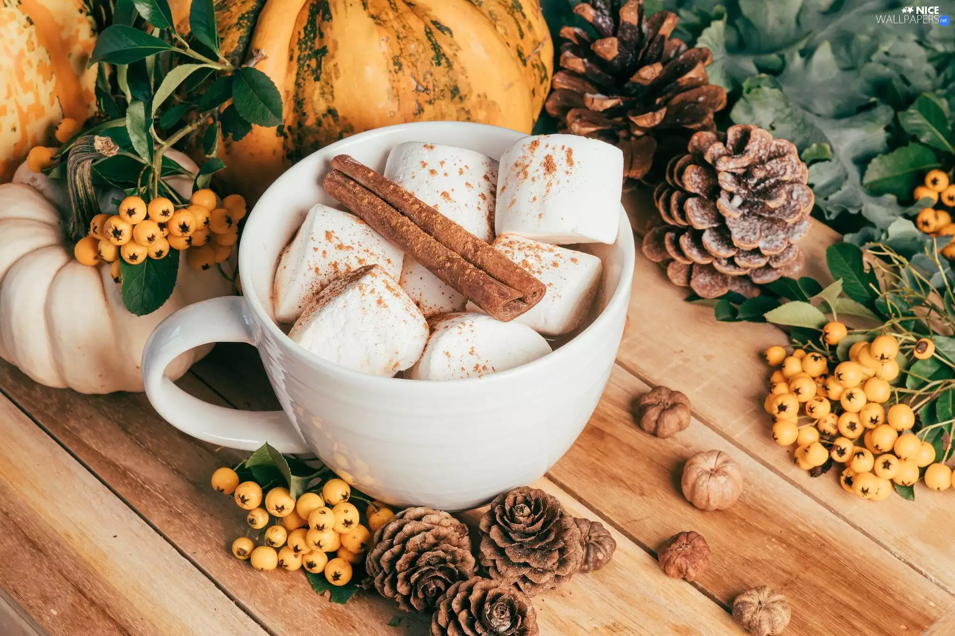 chocolate, Foams, composition, cinnamon, cones, hot, Cup, pumpkin