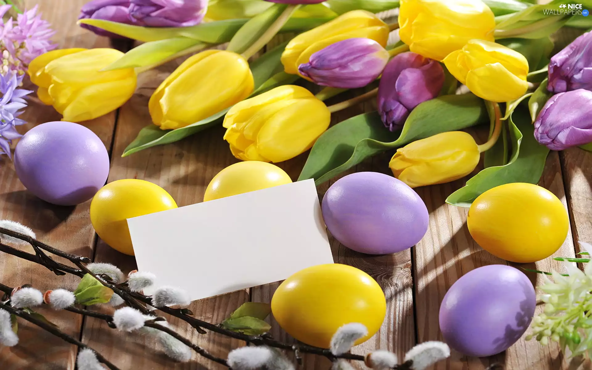 purple, database, Flowers, card, Tulips, Easter, eggs, White, boarding, Yellow