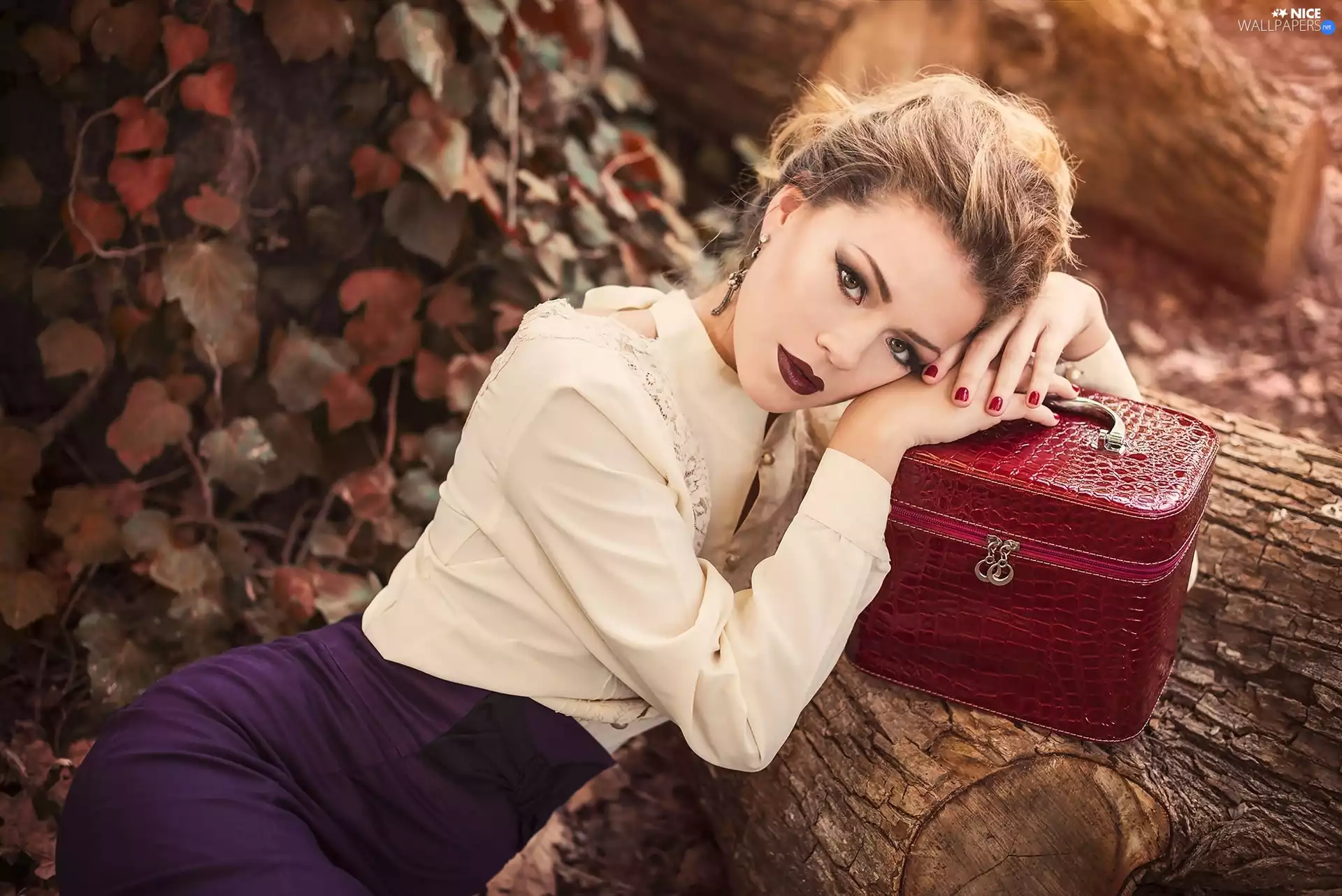 Women, Purse, trunk, make-up