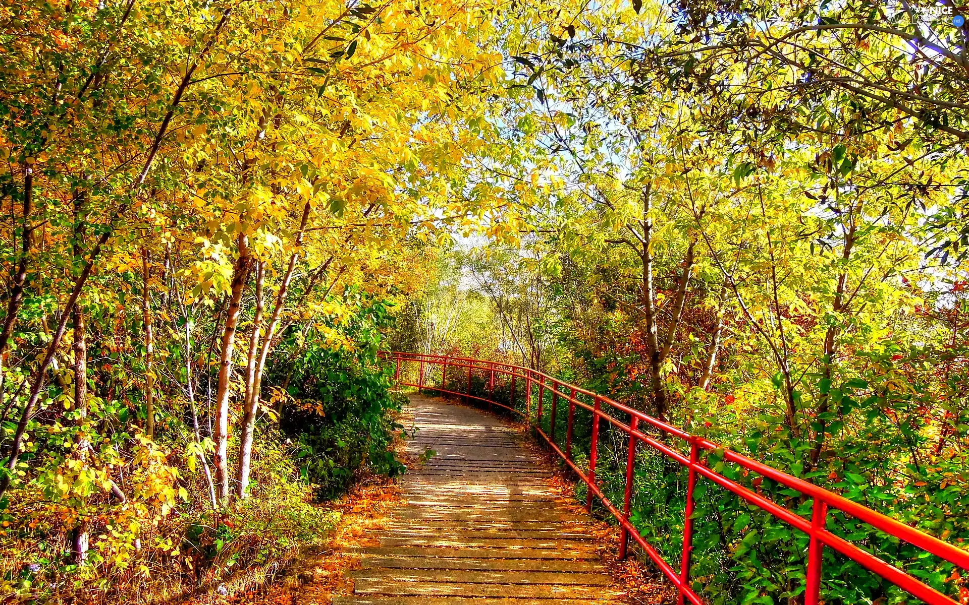 hand-rail, autumn, Way, red hot, Park