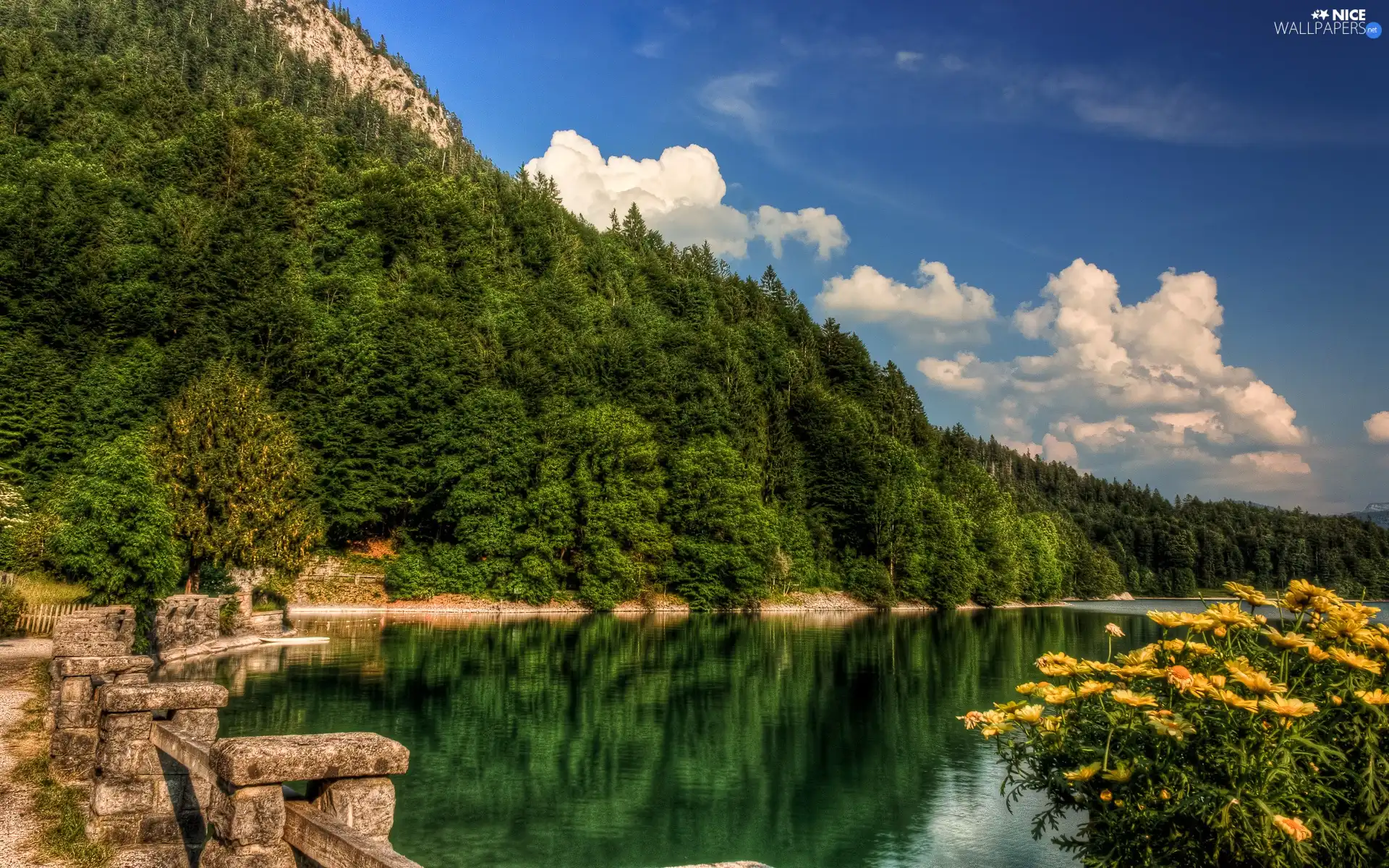 viewes, lake, railing, Flowers, stone, trees