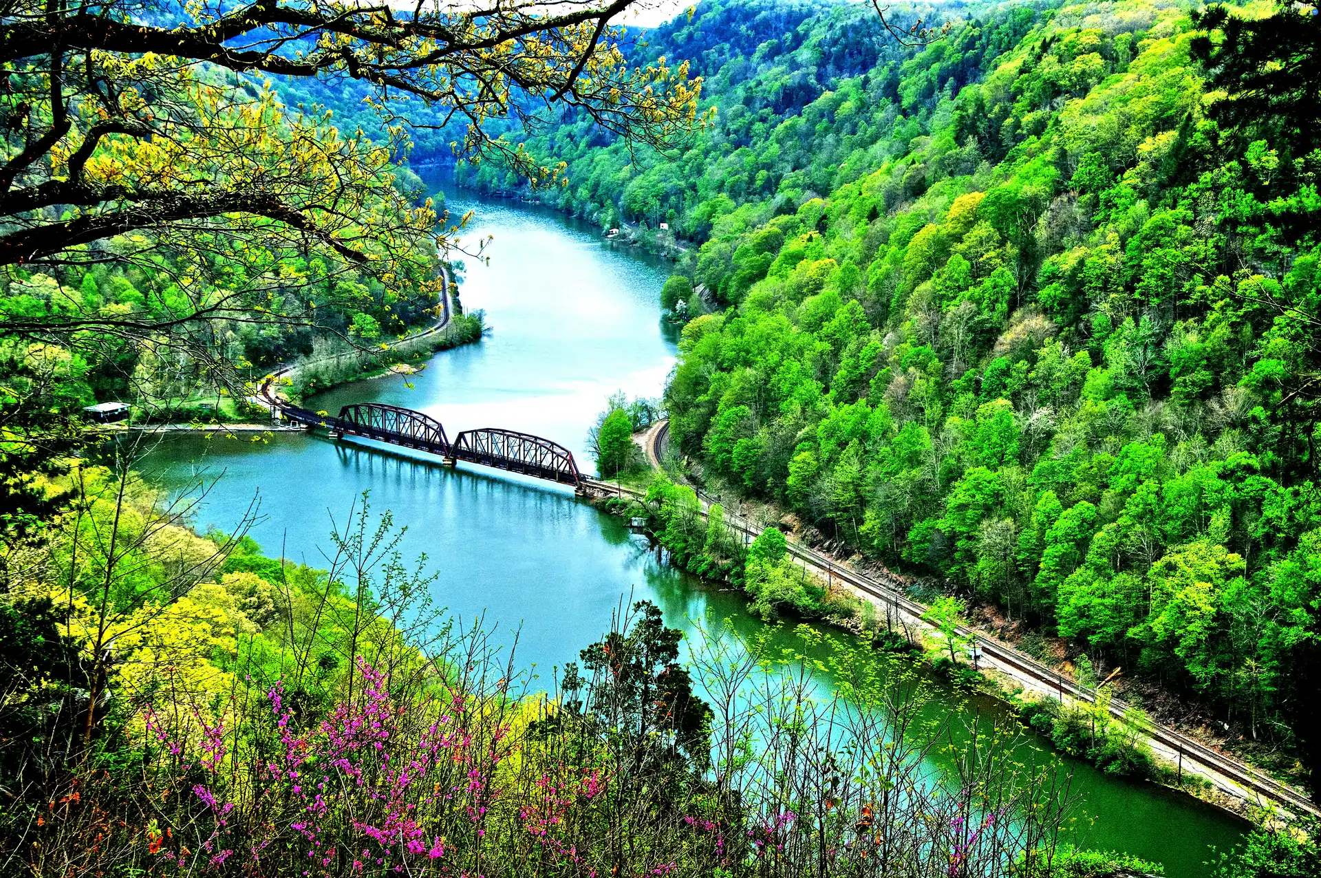 woods, bridge, railway, River