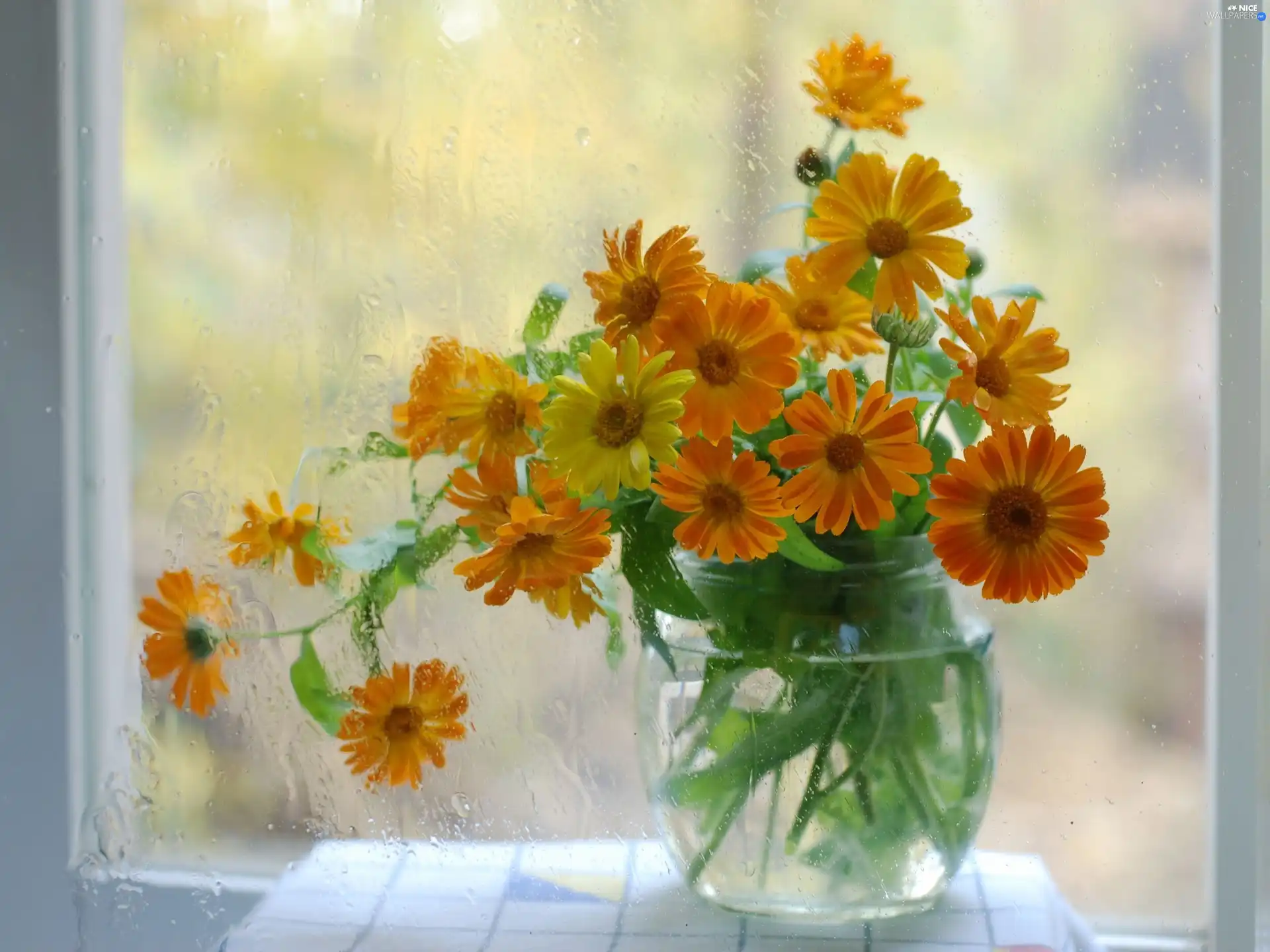 Orange, Glass, Rain, Margaret