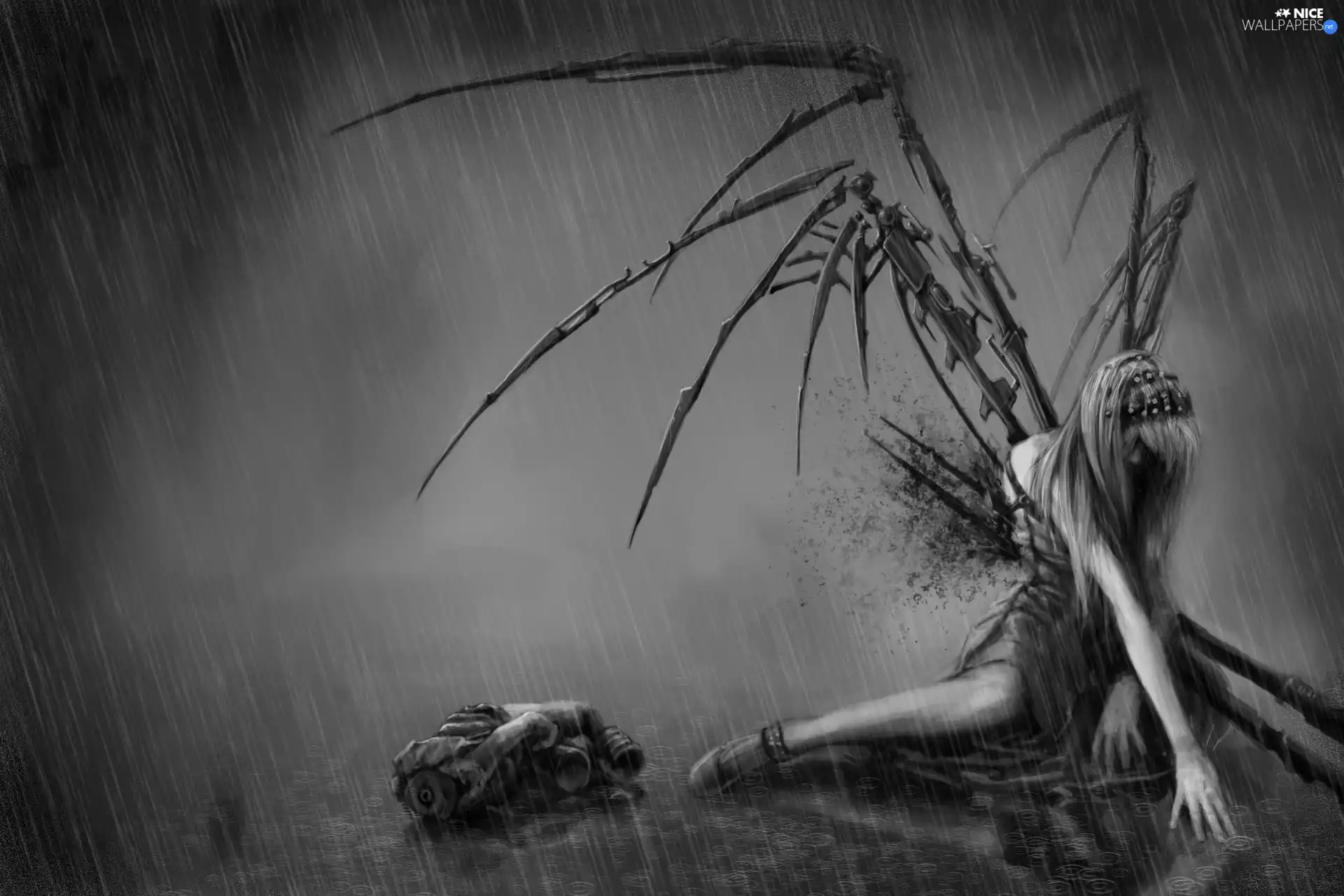 White, Rain, wings, black, Women