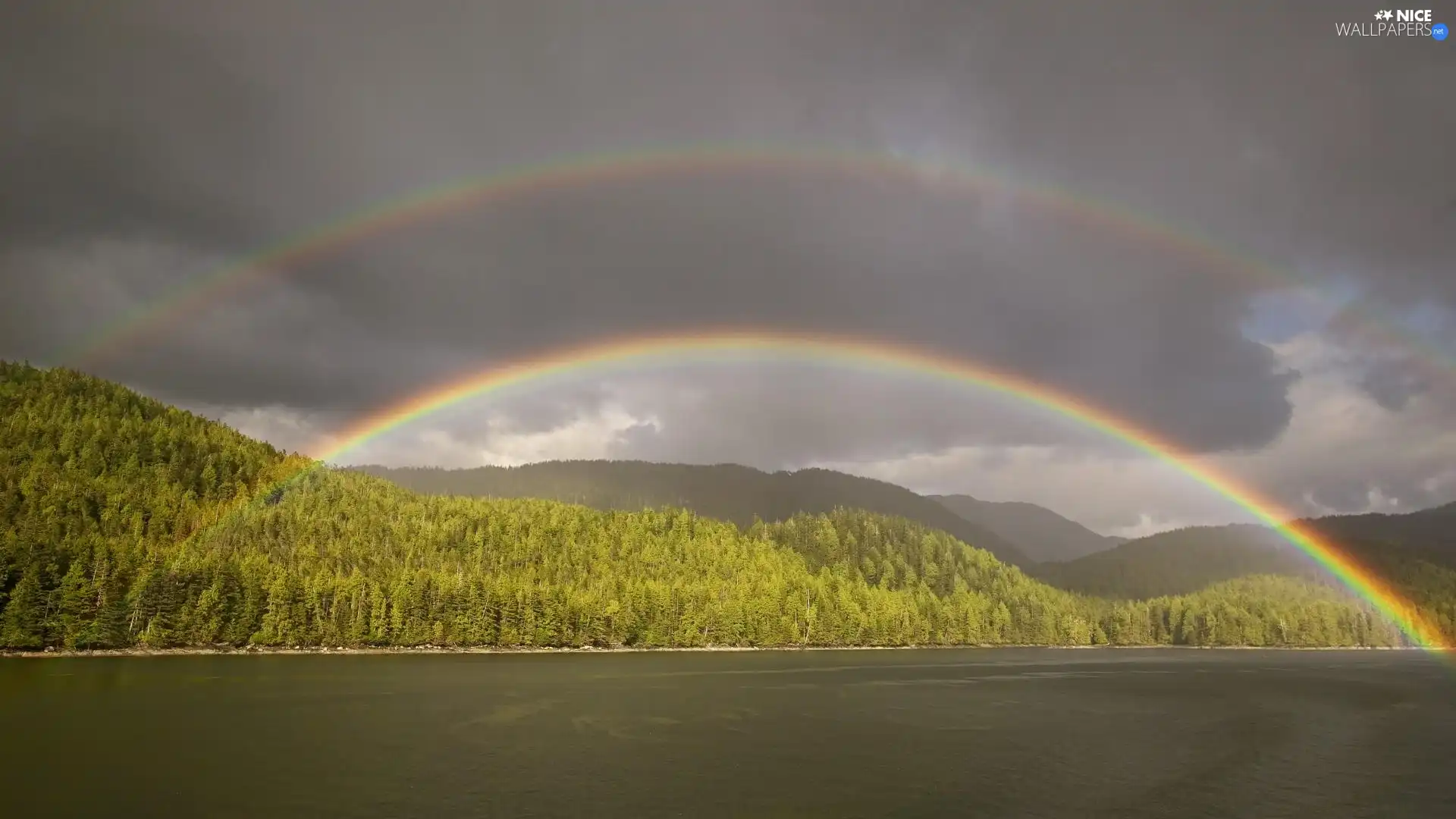 landscape, forest, rainbows, lake