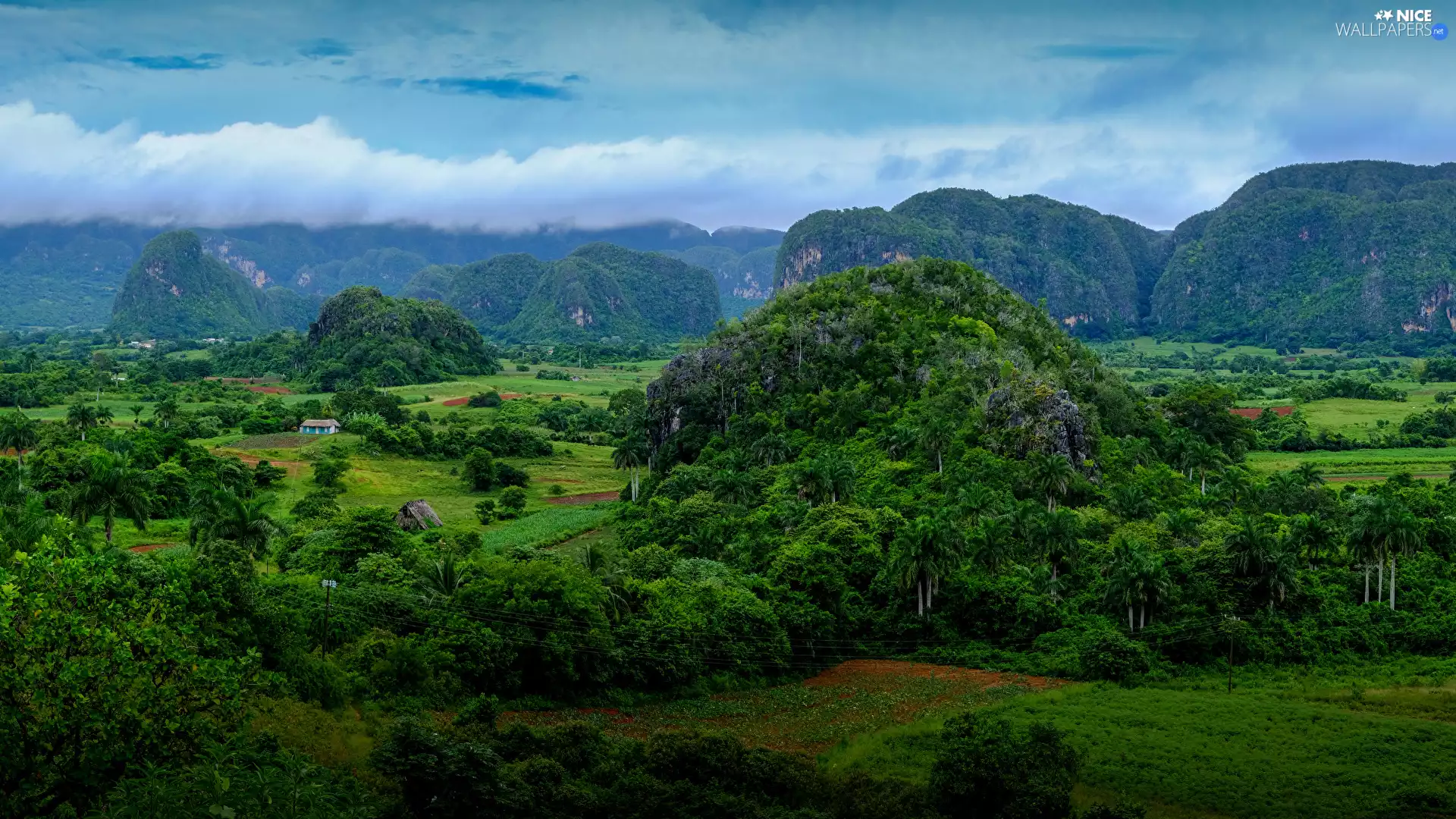 The Hills, Sierra de los Organos Range, Pinar del Rio Province, Valle de Vinales Valley, Cuba