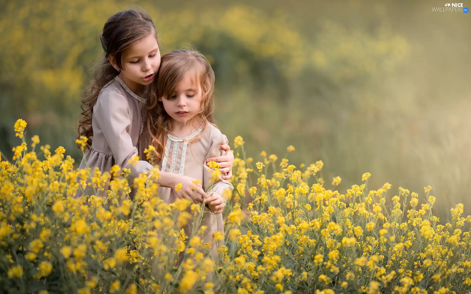 rape, girls, Flowers