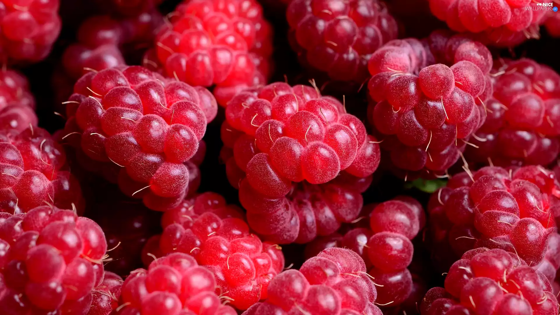 raspberries, Fruits