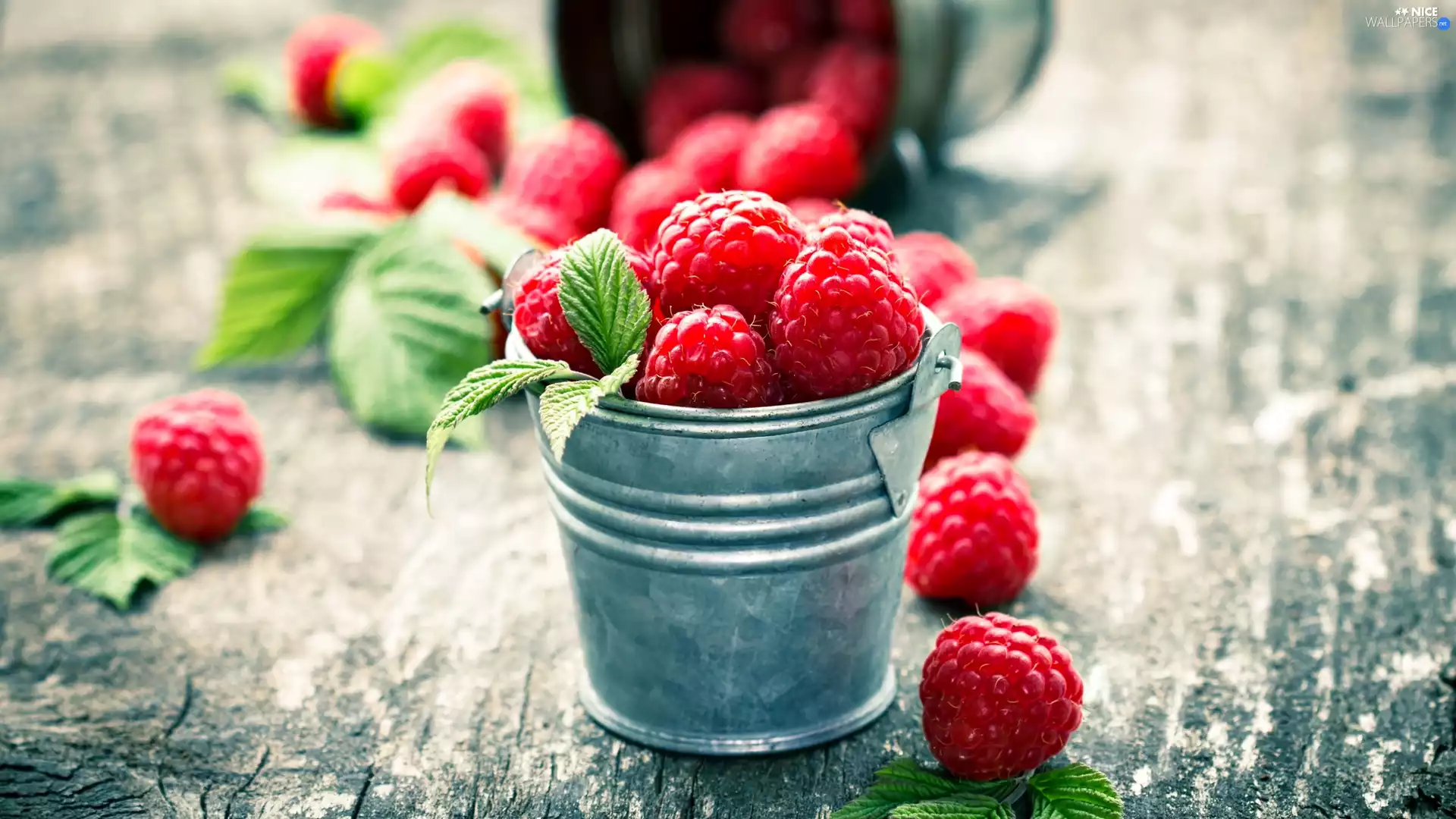 raspberries, Pail