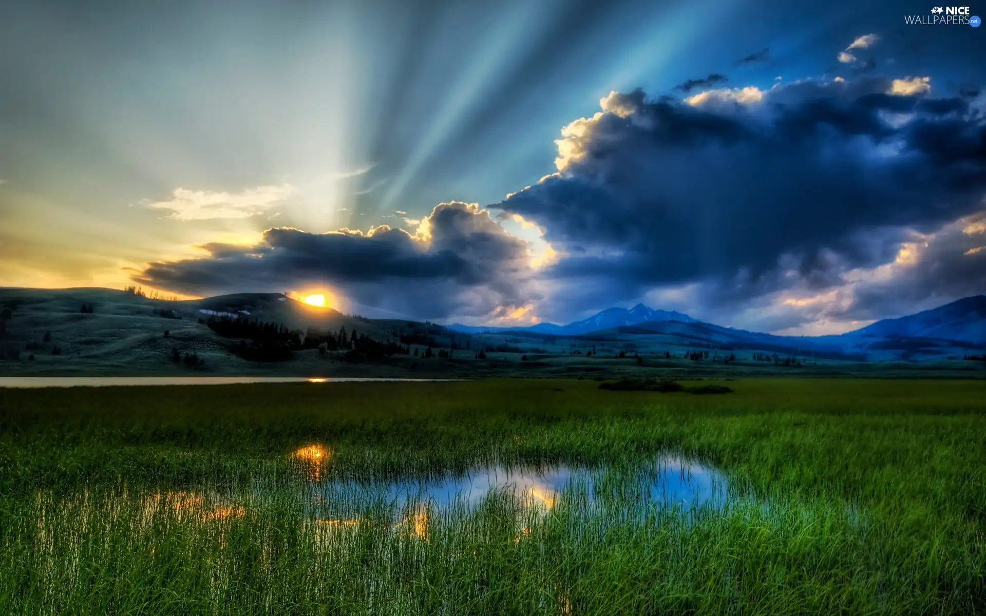 rays, swamp, clouds