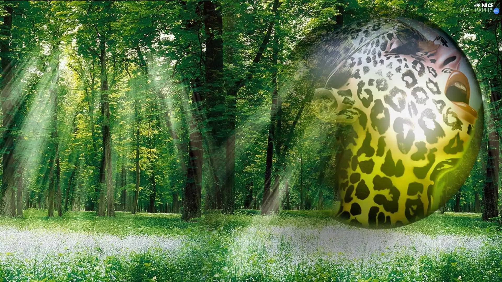 Flowers, rays, forest, Wildflowers, Spring