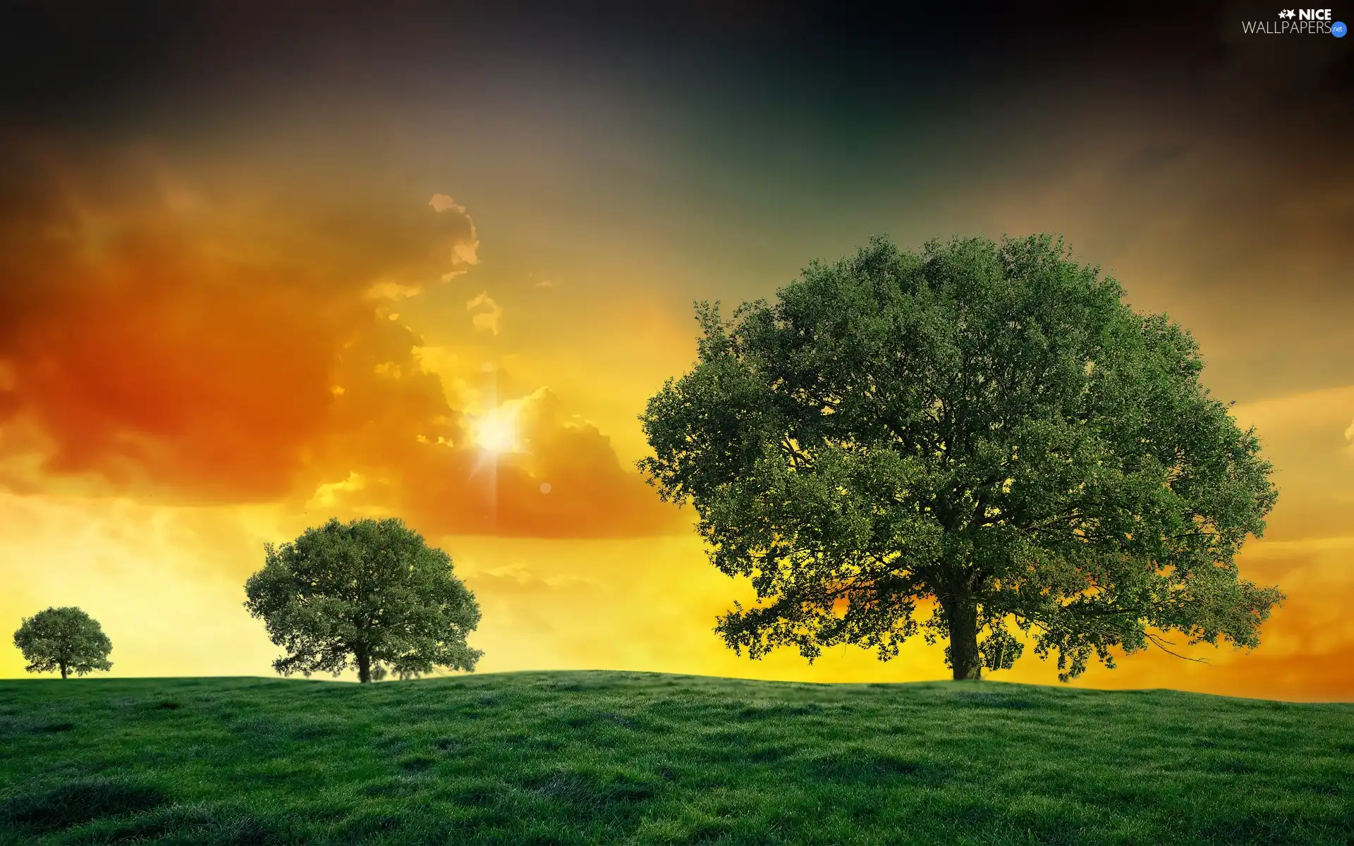 viewes, Meadow, rays, sun, clouds, trees