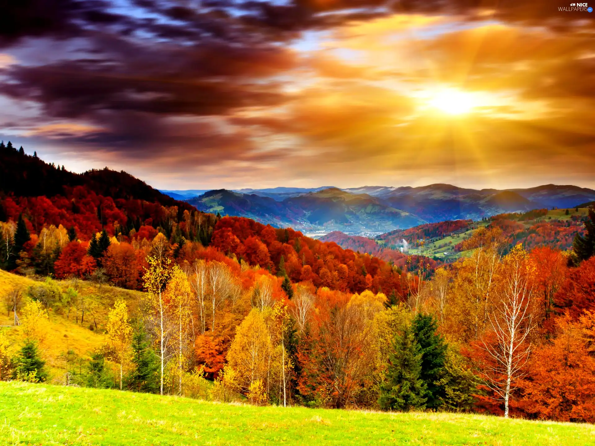 rays, sunny, Mountains, forest, autumn