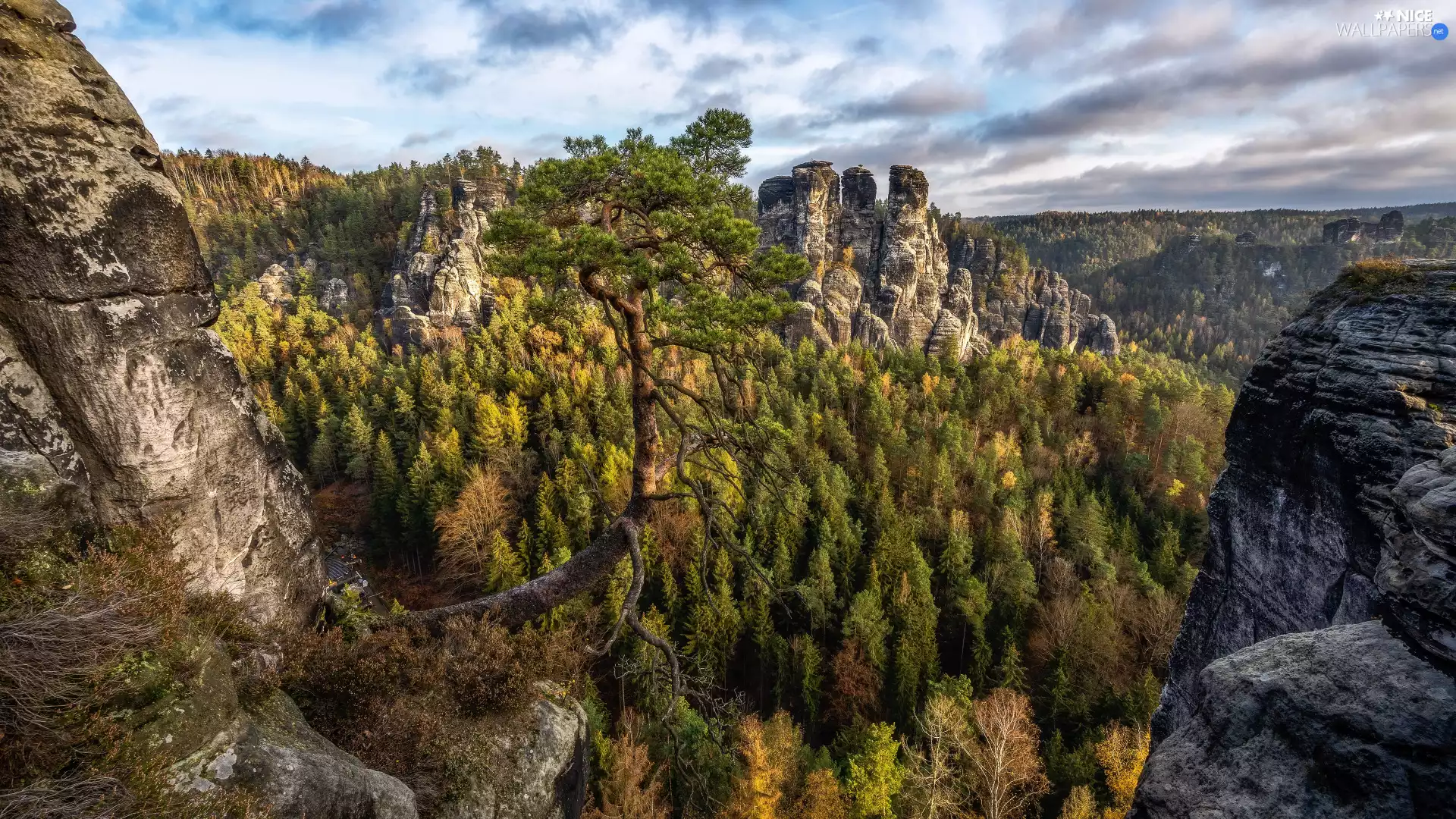 Děčínská vrchovina, rocks, rays of the Sun, Germany, Saxon Switzerland National Park, pine