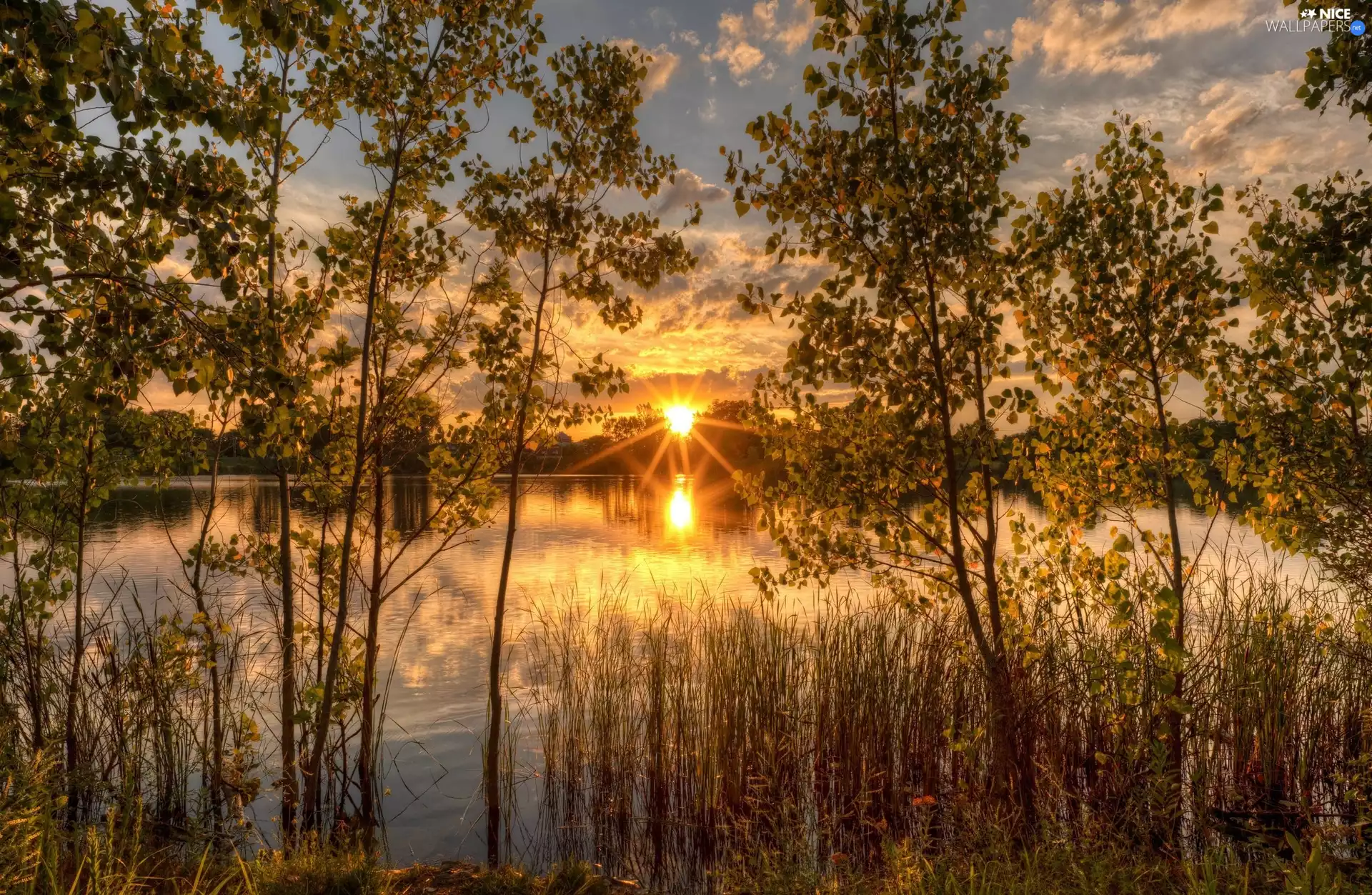 viewes, lake, Sunrise, rays, VEGETATION, trees